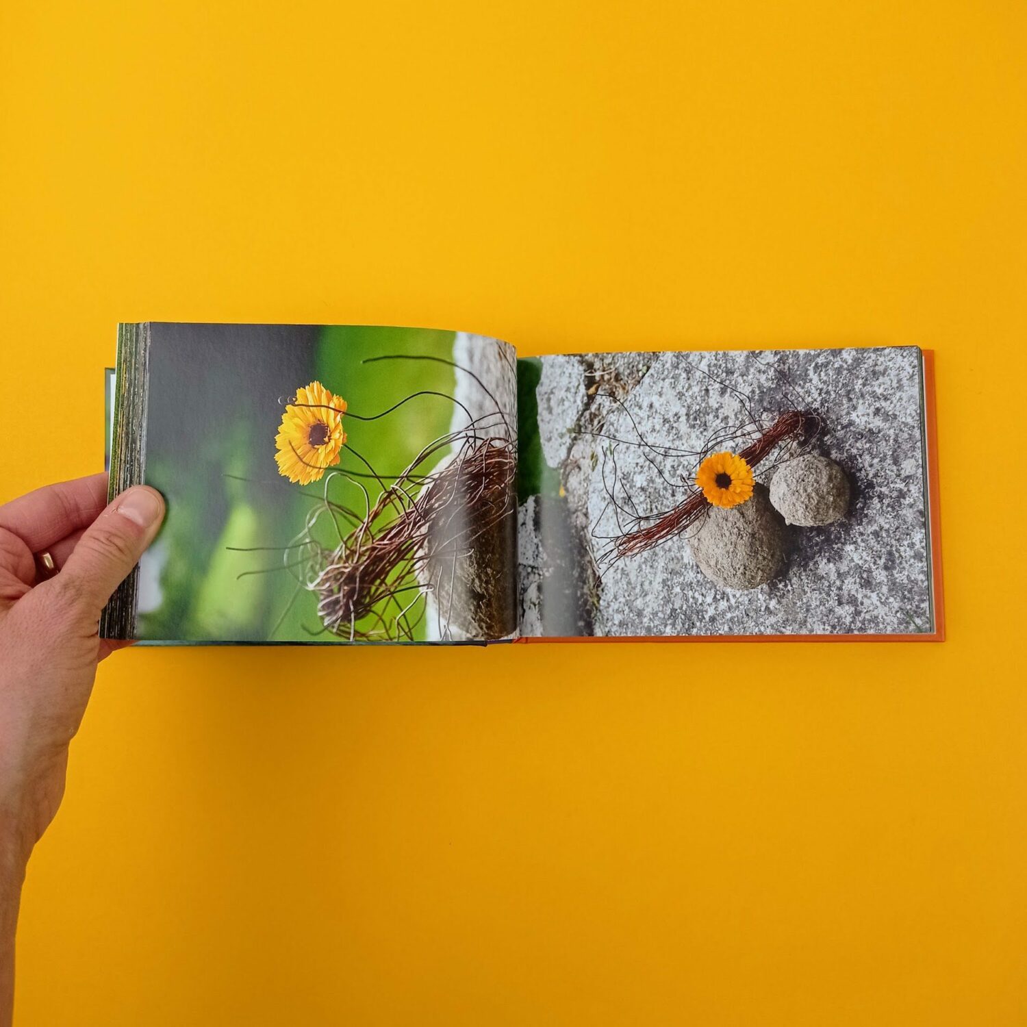 Inspirations_fleurs_land_art4