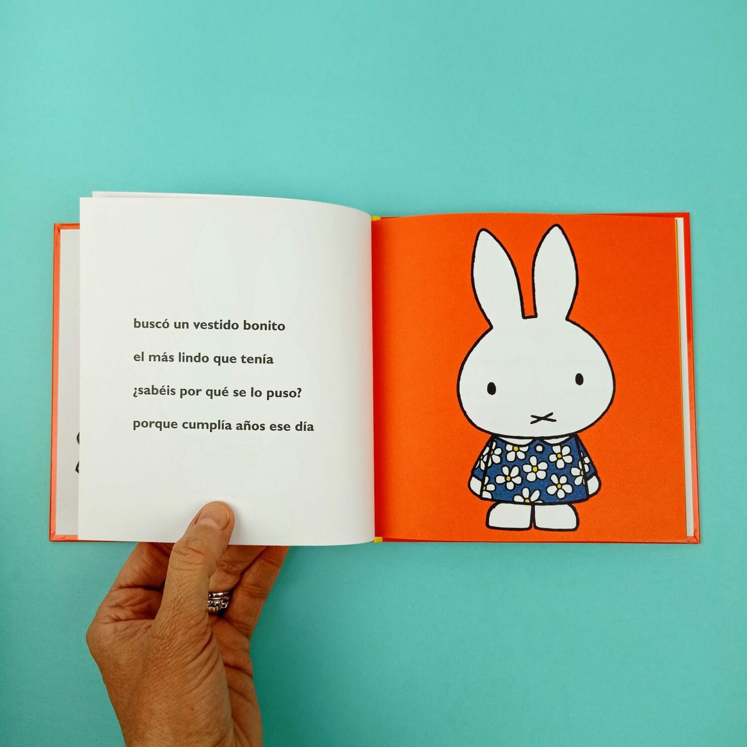 La_fiesta_de_miffy3