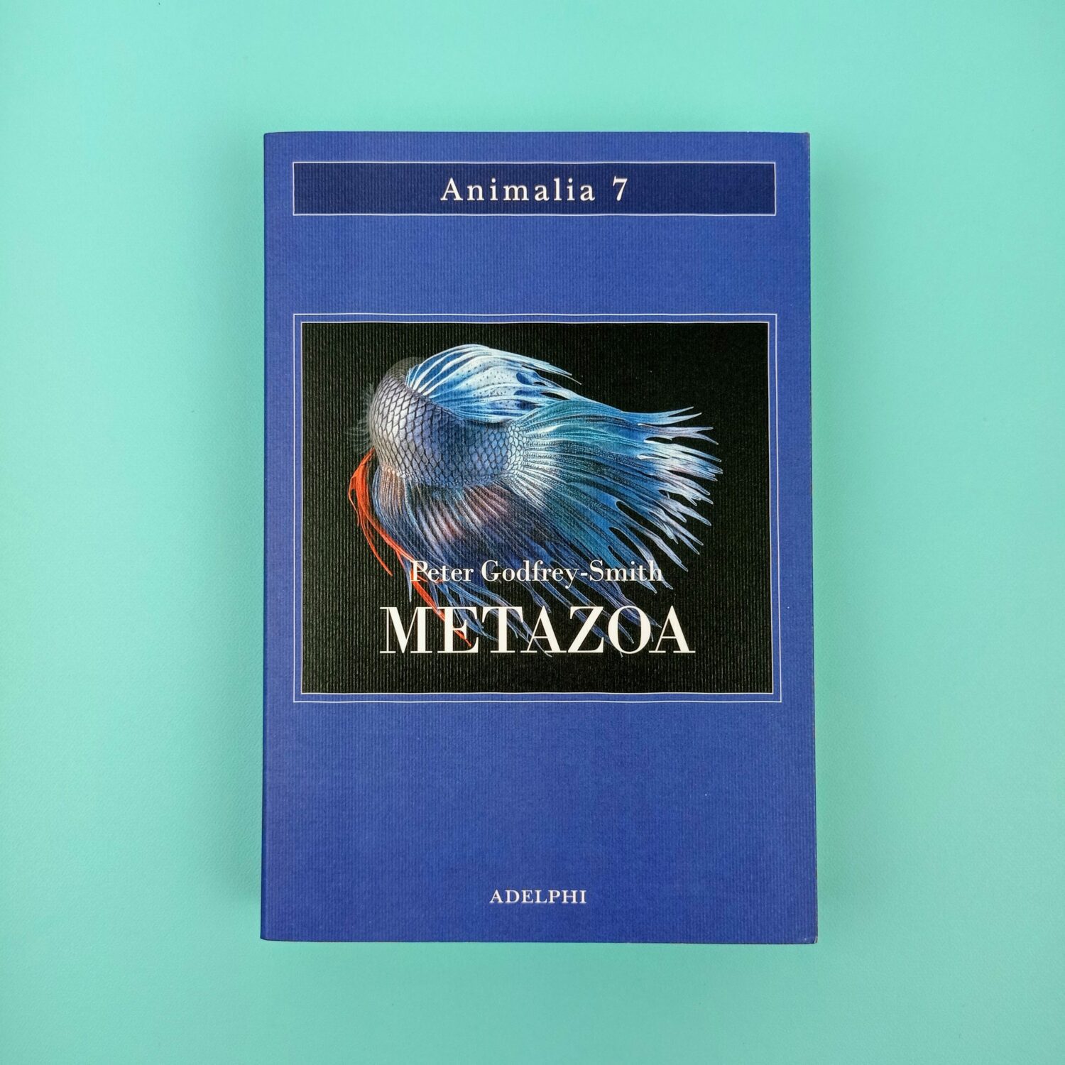 Metazoa1