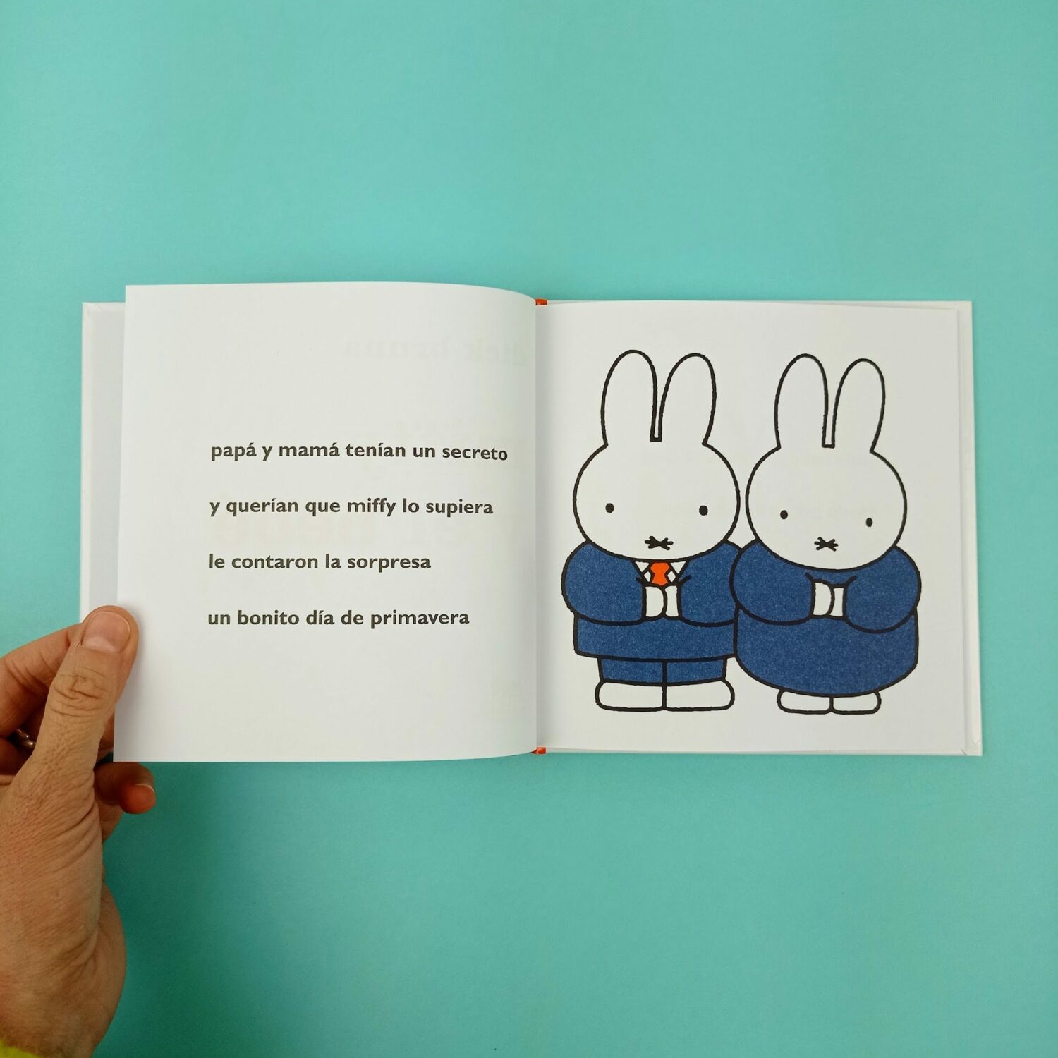 Miffy_y_el_bebe2