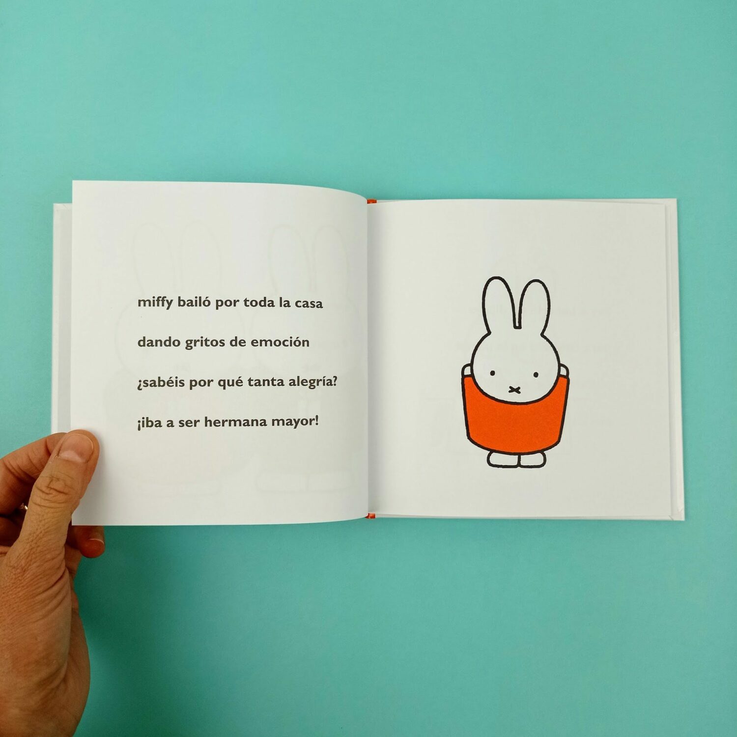 Miffy_y_el_bebe3
