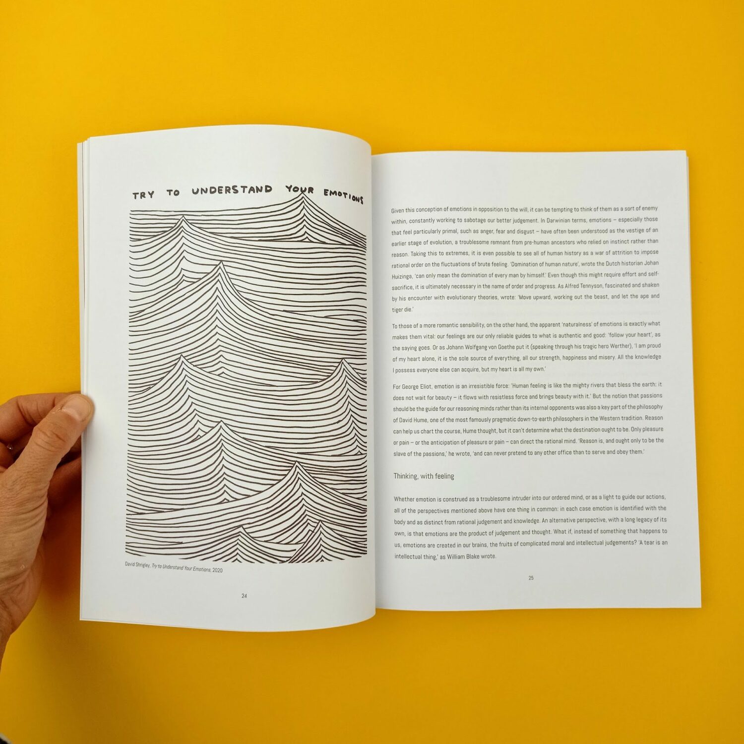 The_book_of_emotions3