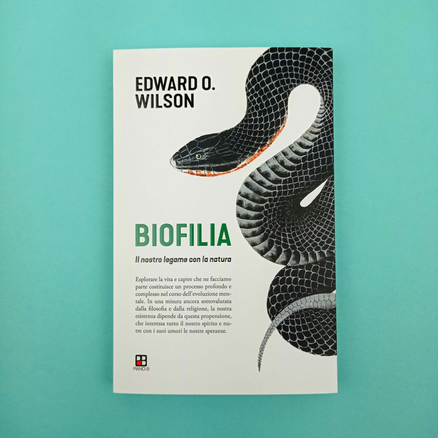 Biofilia1