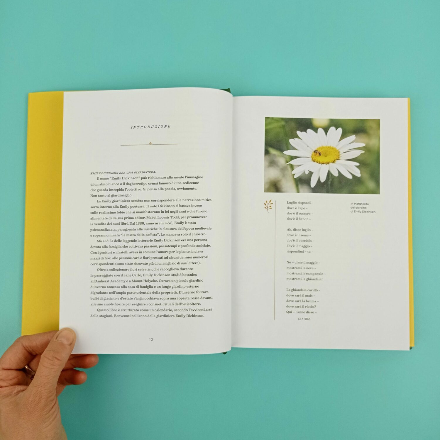 Emily_Dickinson_e_i_suoi_giardini3