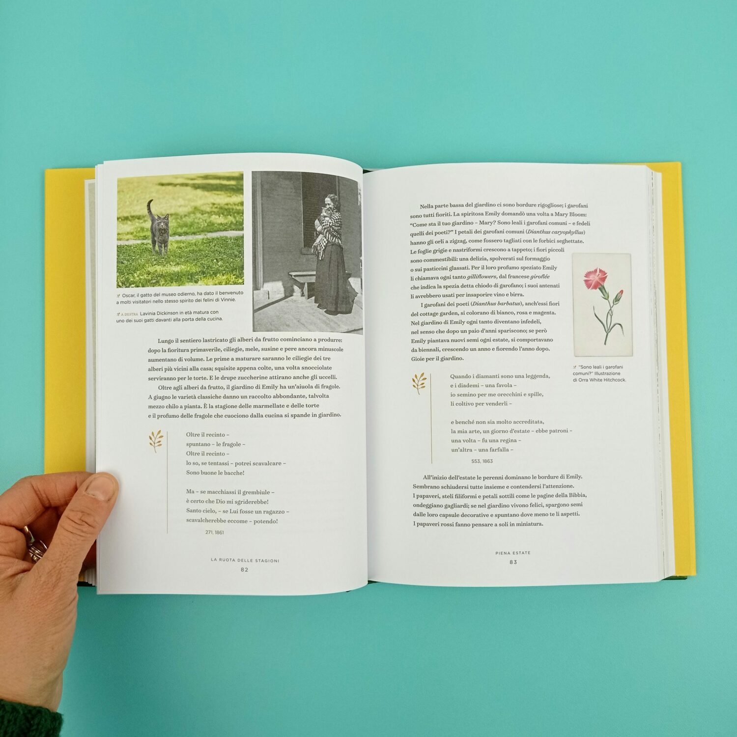 Emily_Dickinson_e_i_suoi_giardini6