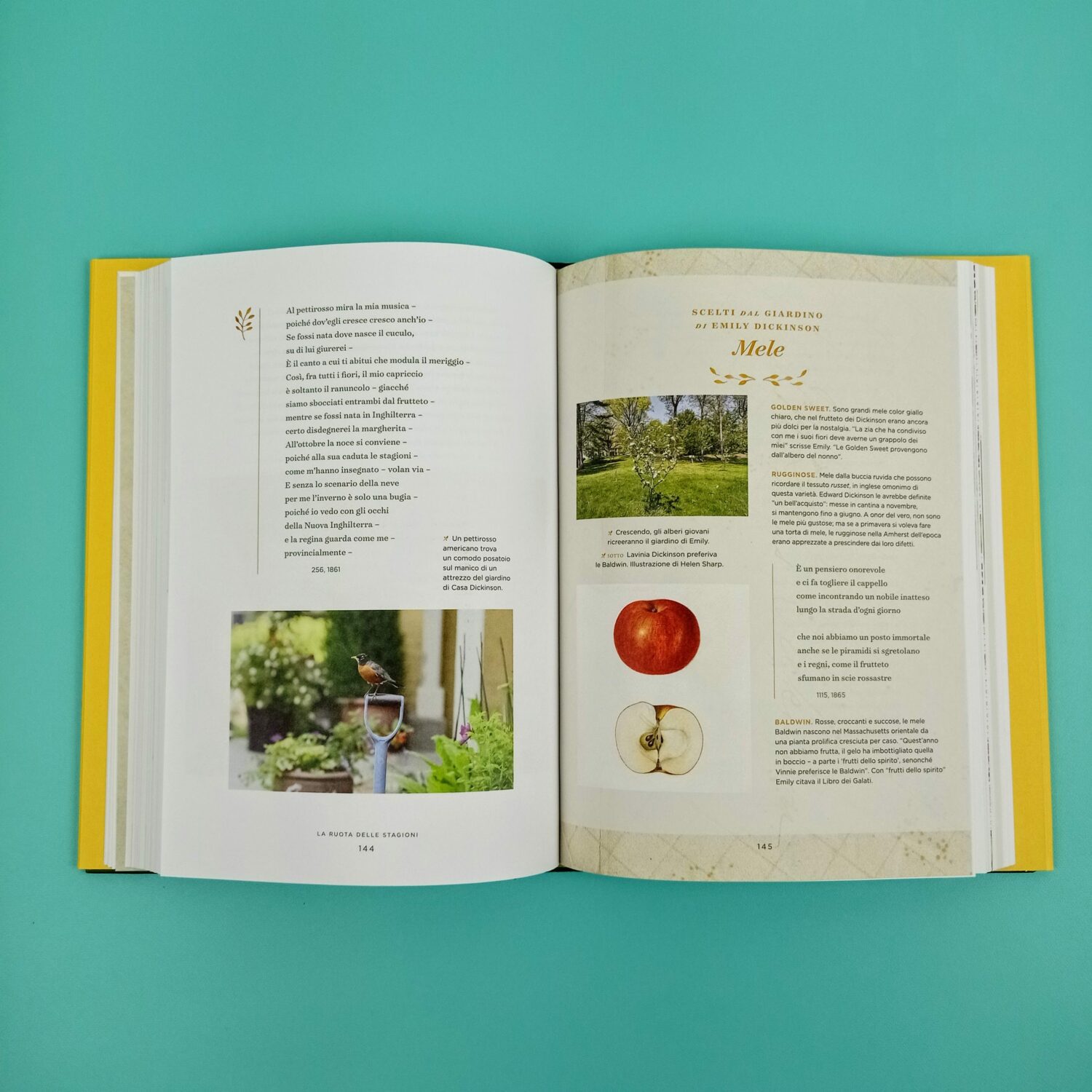 Emily_Dickinson_e_i_suoi_giardini7