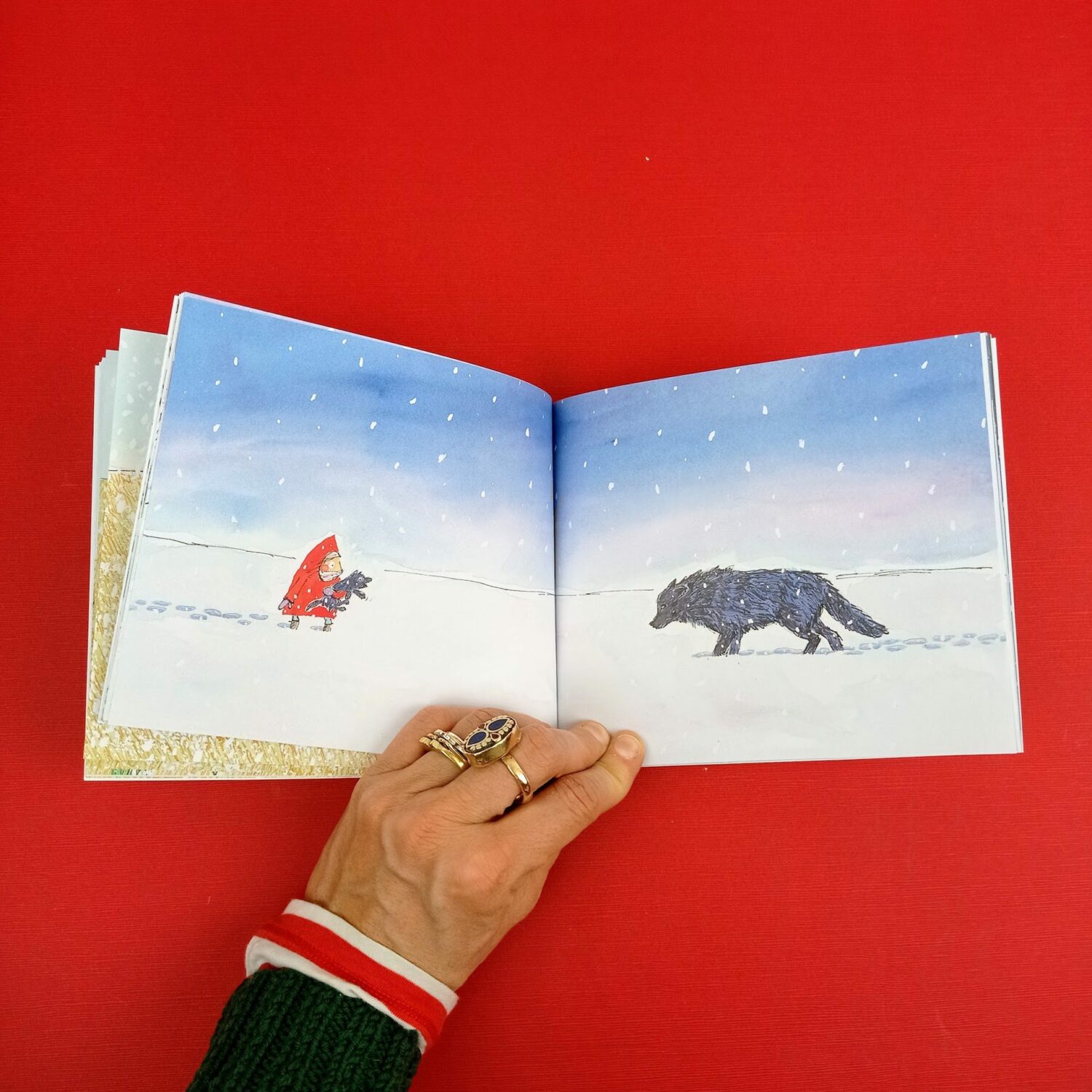 Un_lupo_nella_neve5