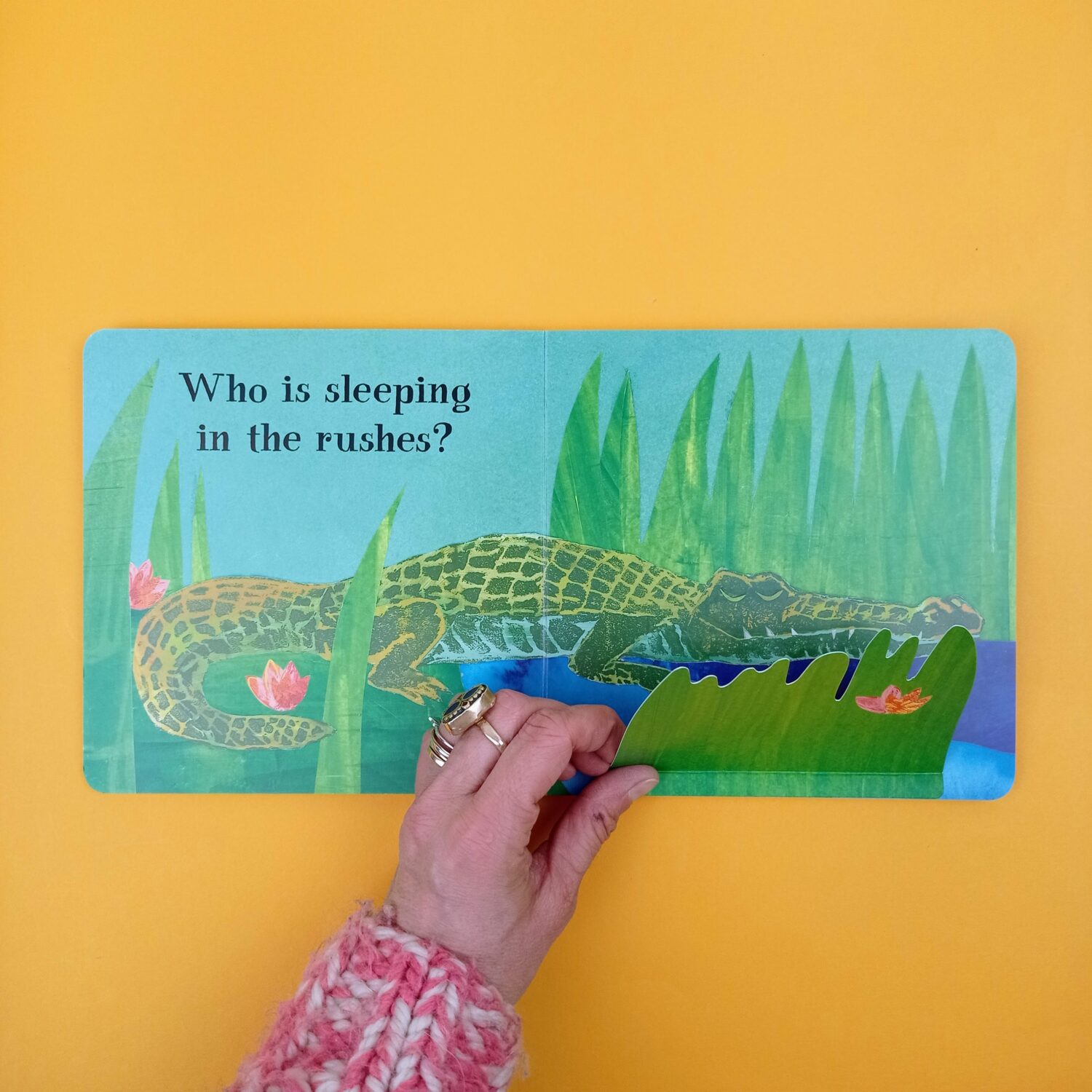 Who_is_sleeping?3