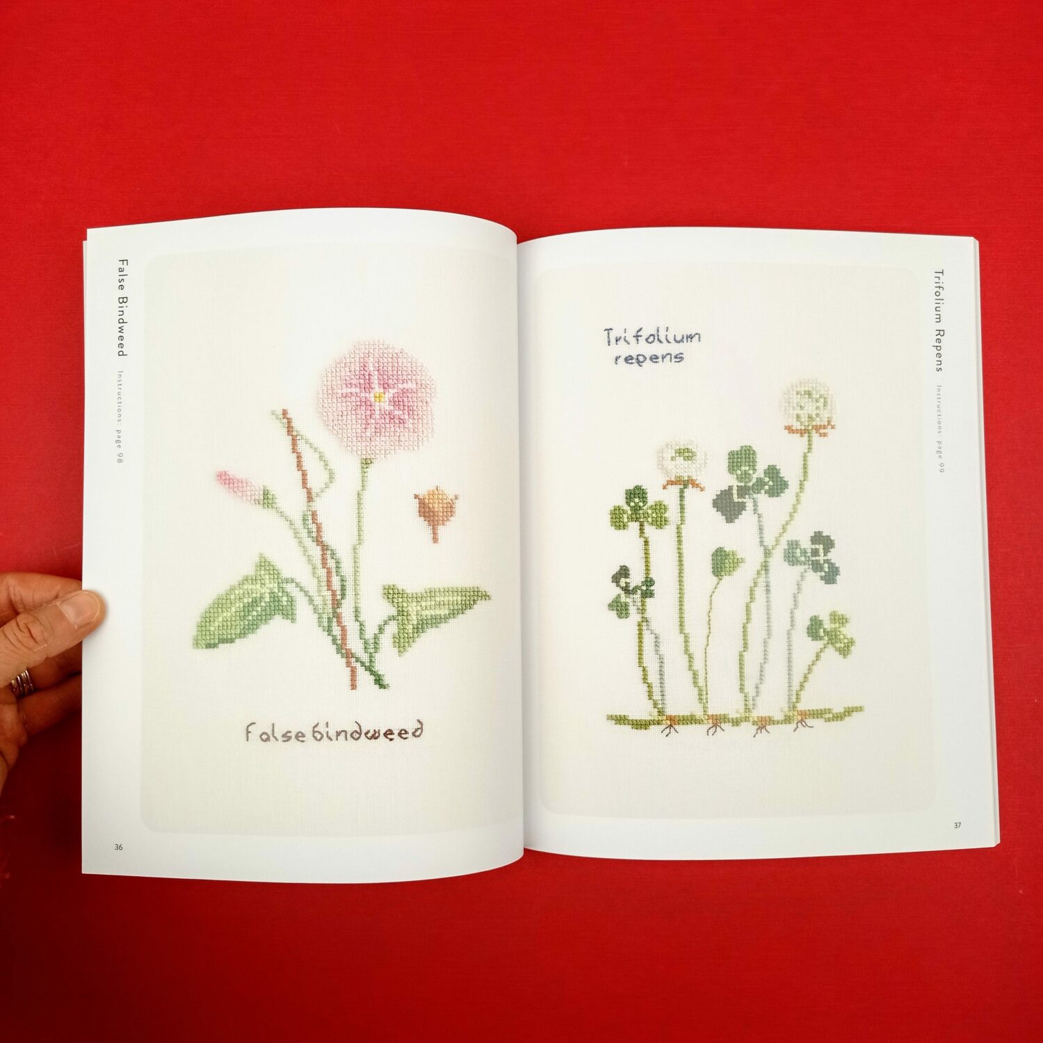 Wildflowers_and_grasses3