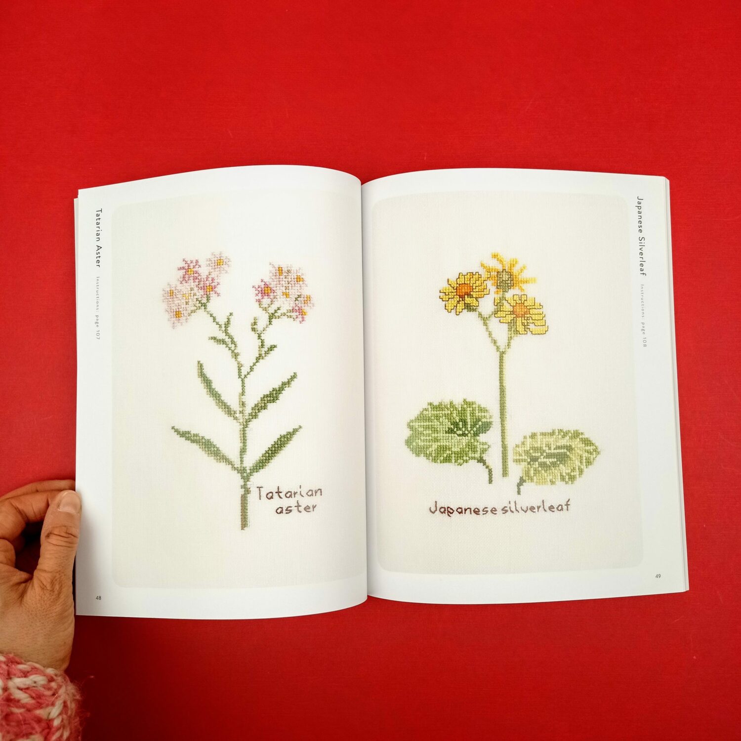 Wildflowers_and_grasses4