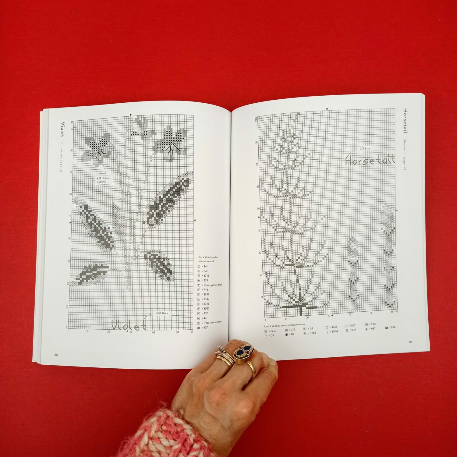 Wildflowers_and_grasses6