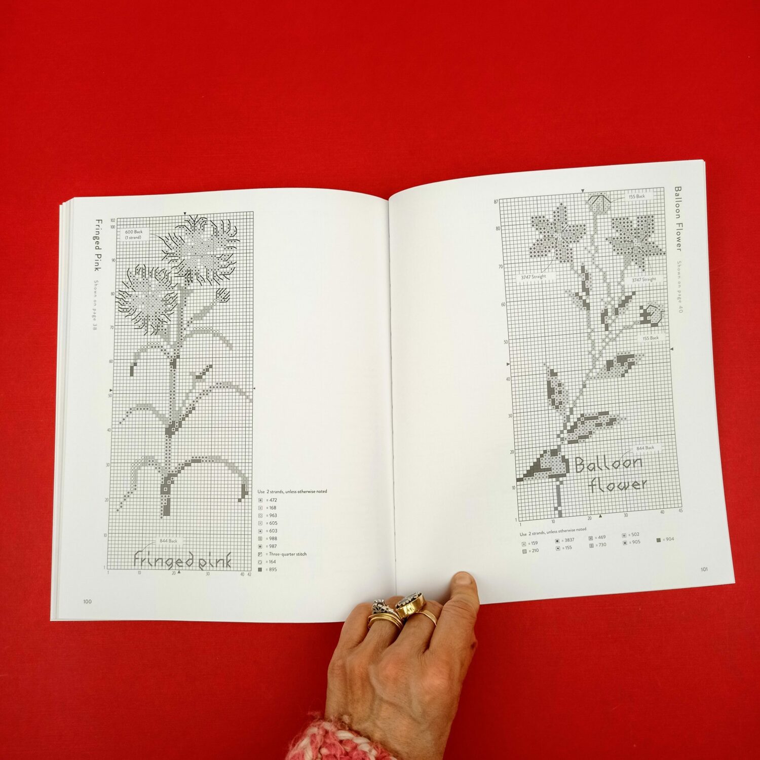 Wildflowers_and_grasses7