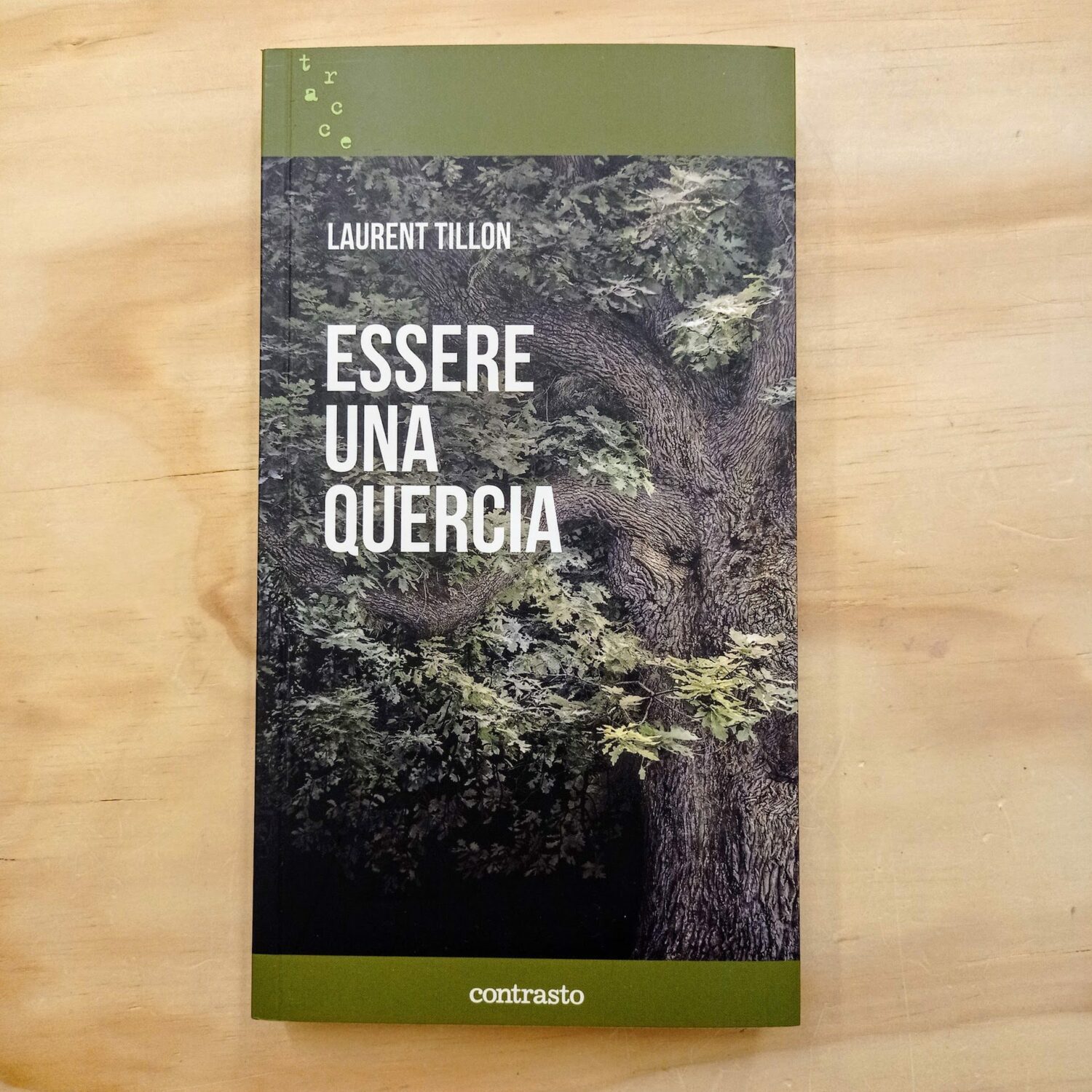Essere_quercia1