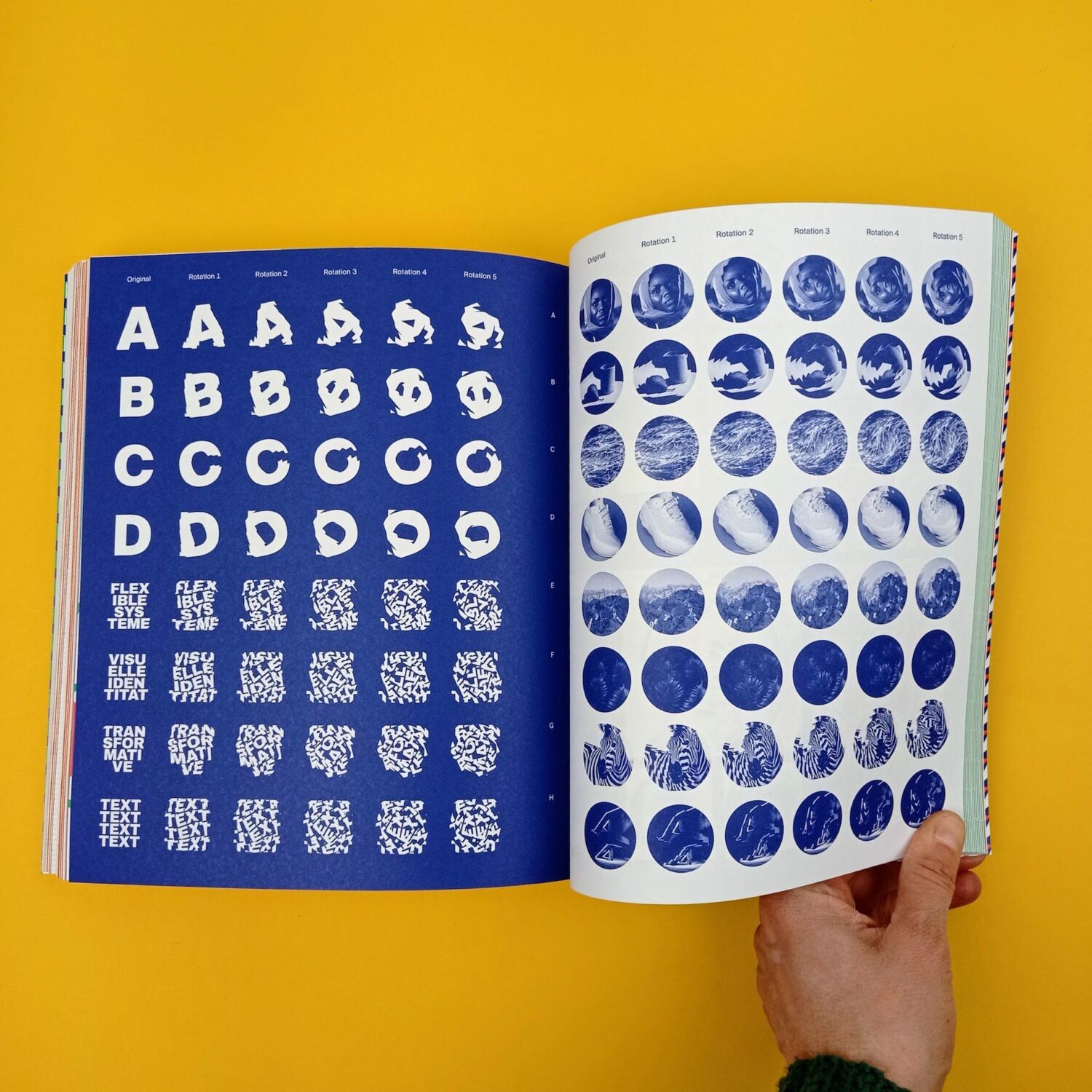 Flexible_visual_systems10