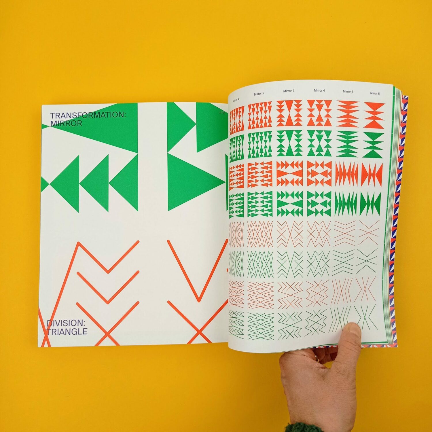 Flexible_visual_systems11