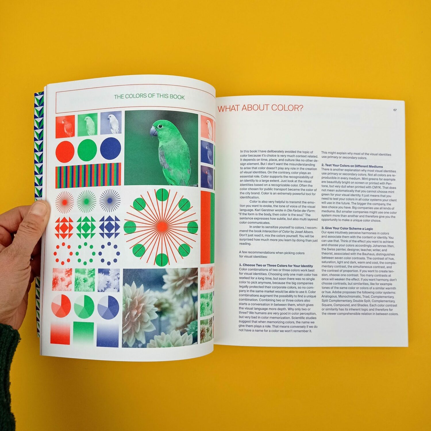 Flexible_visual_systems6