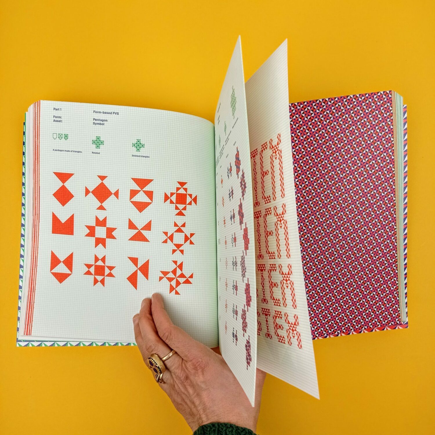 Flexible_visual_systems9