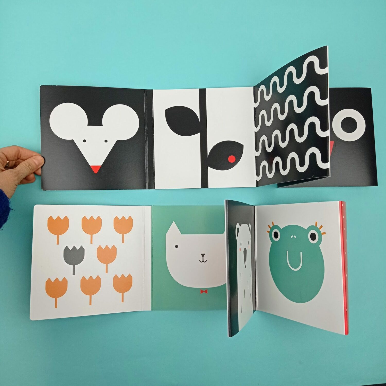 High_contrast_baby_pack3