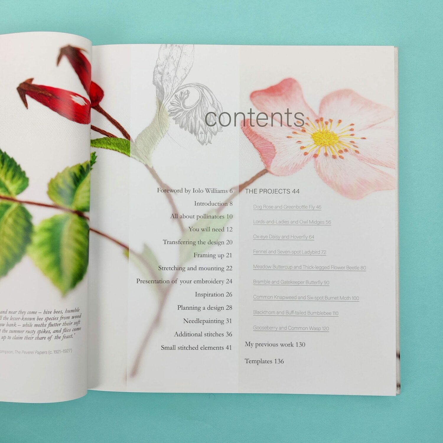 Neddlepanted_plants_and_pollinators2