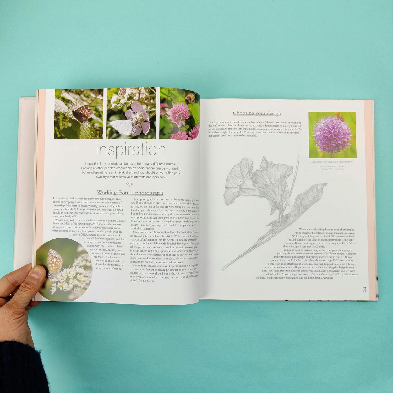 Neddlepanted_plants_and_pollinators3