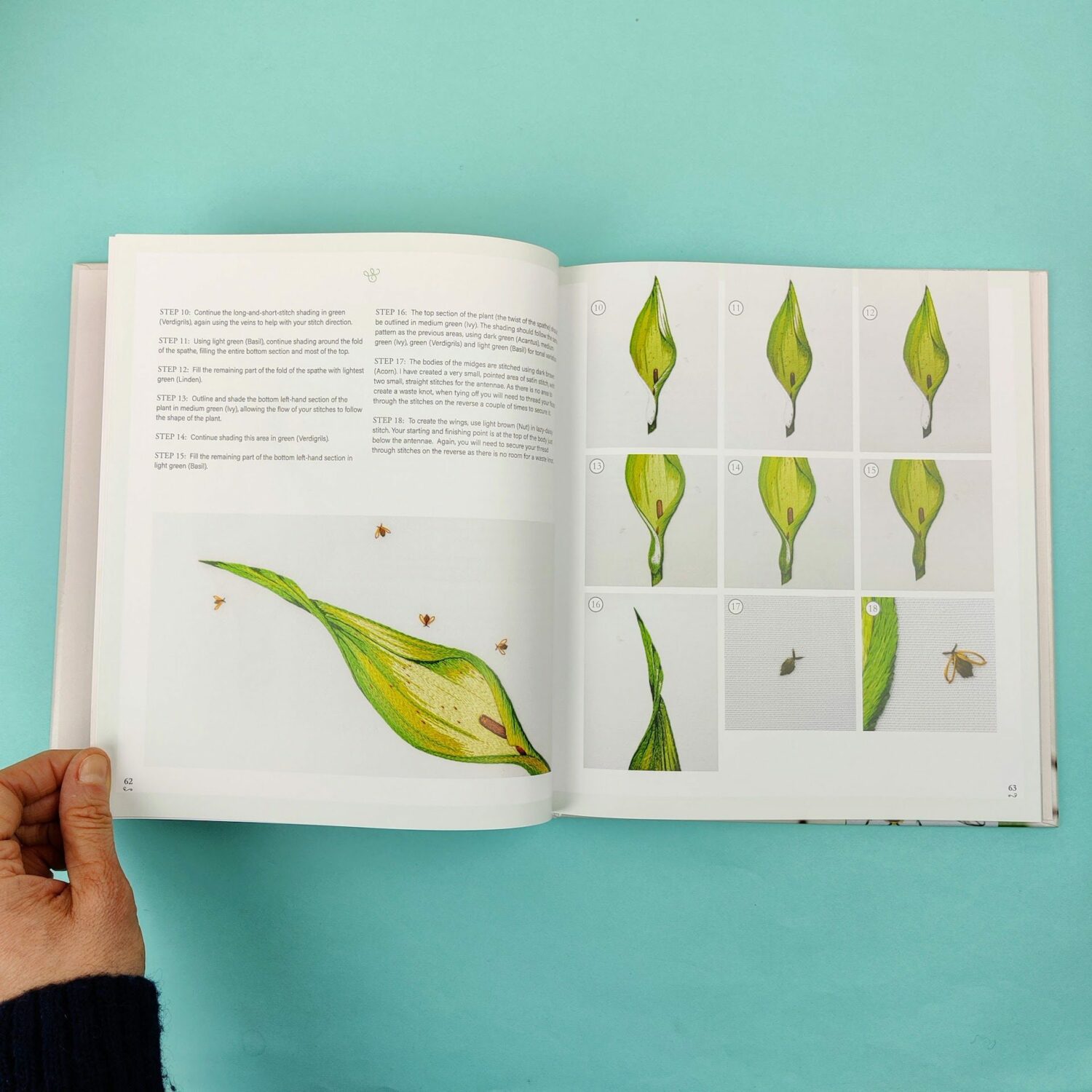 Neddlepanted_plants_and_pollinators5