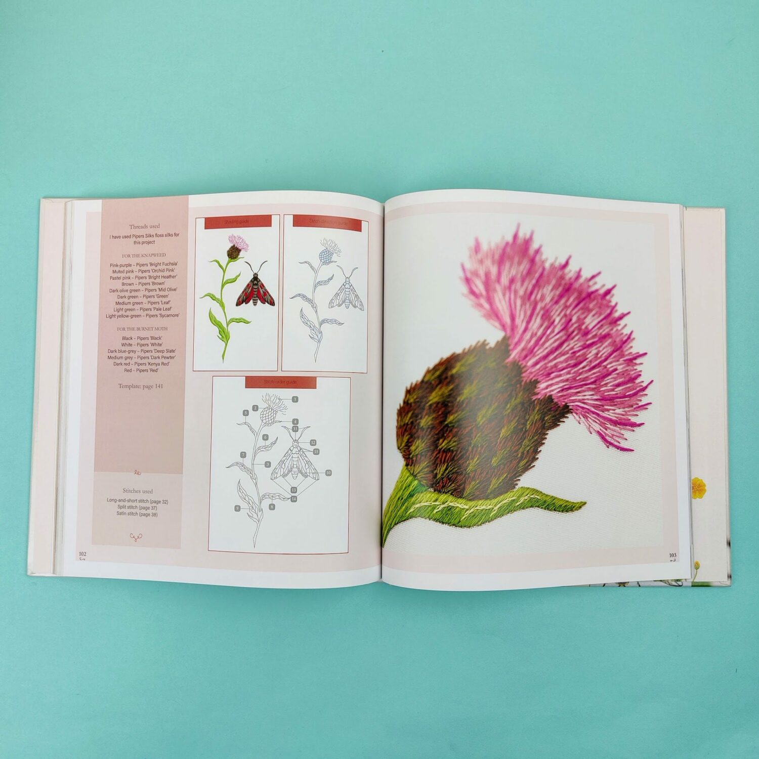 Neddlepanted_plants_and_pollinators7