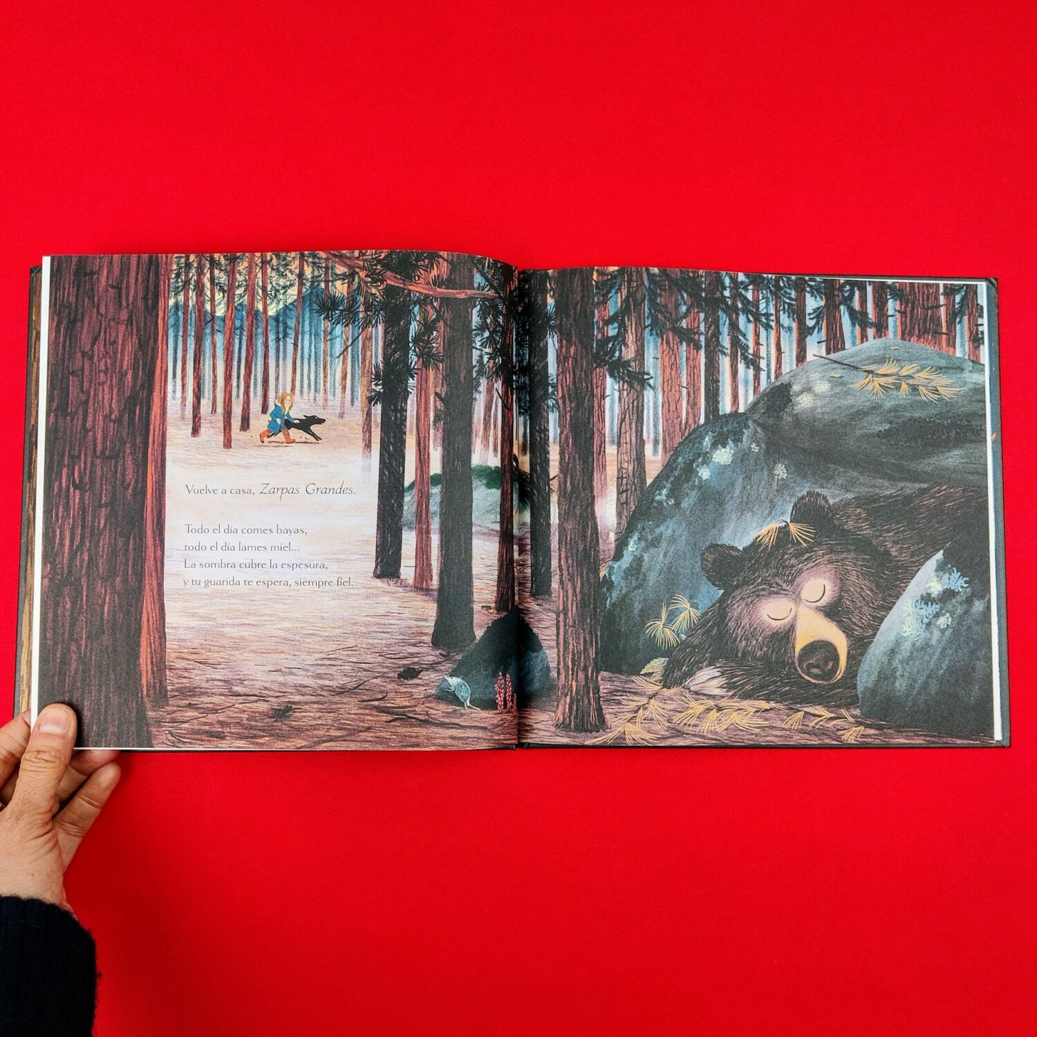 Suenos_del_bosque2