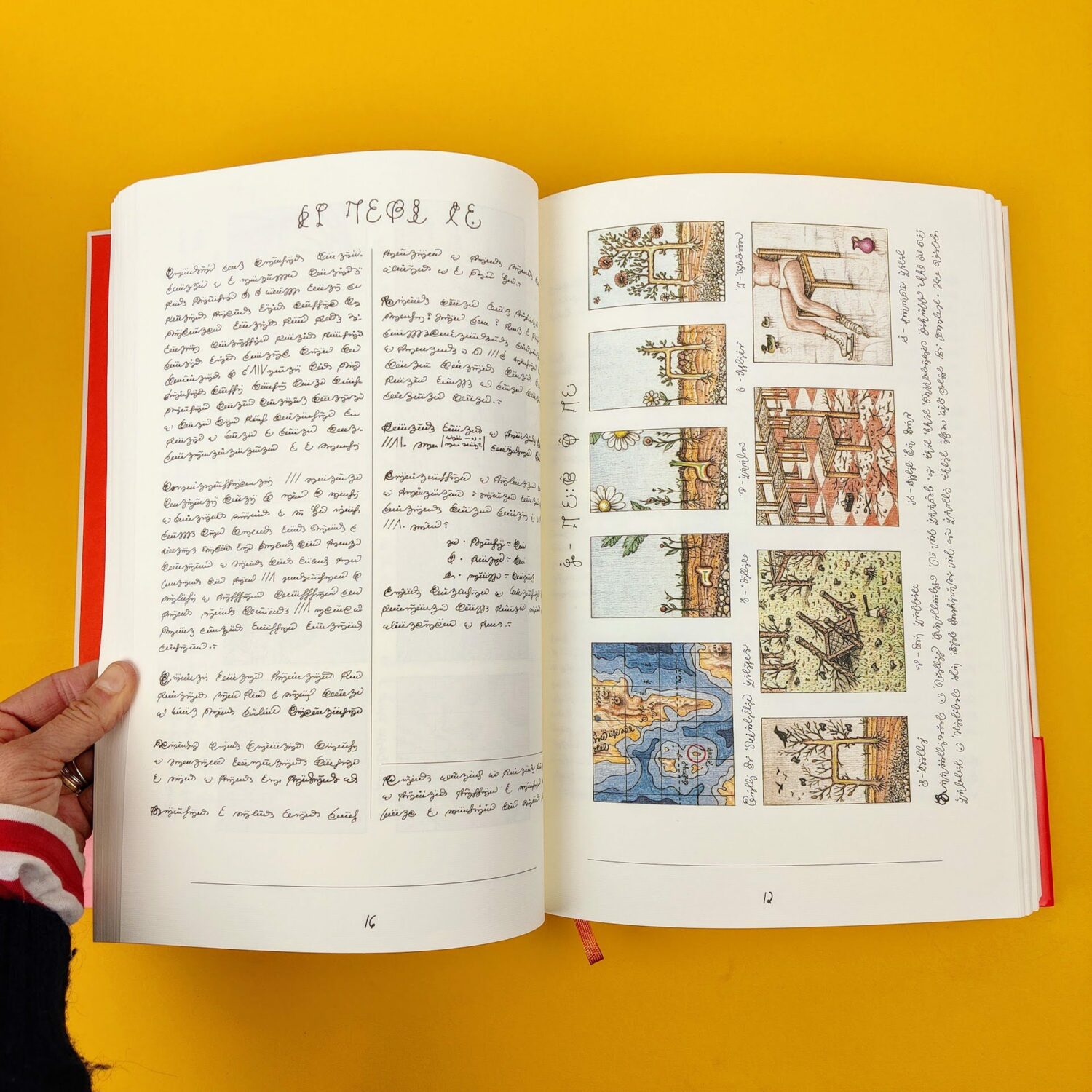 Codex_seraphinianus3