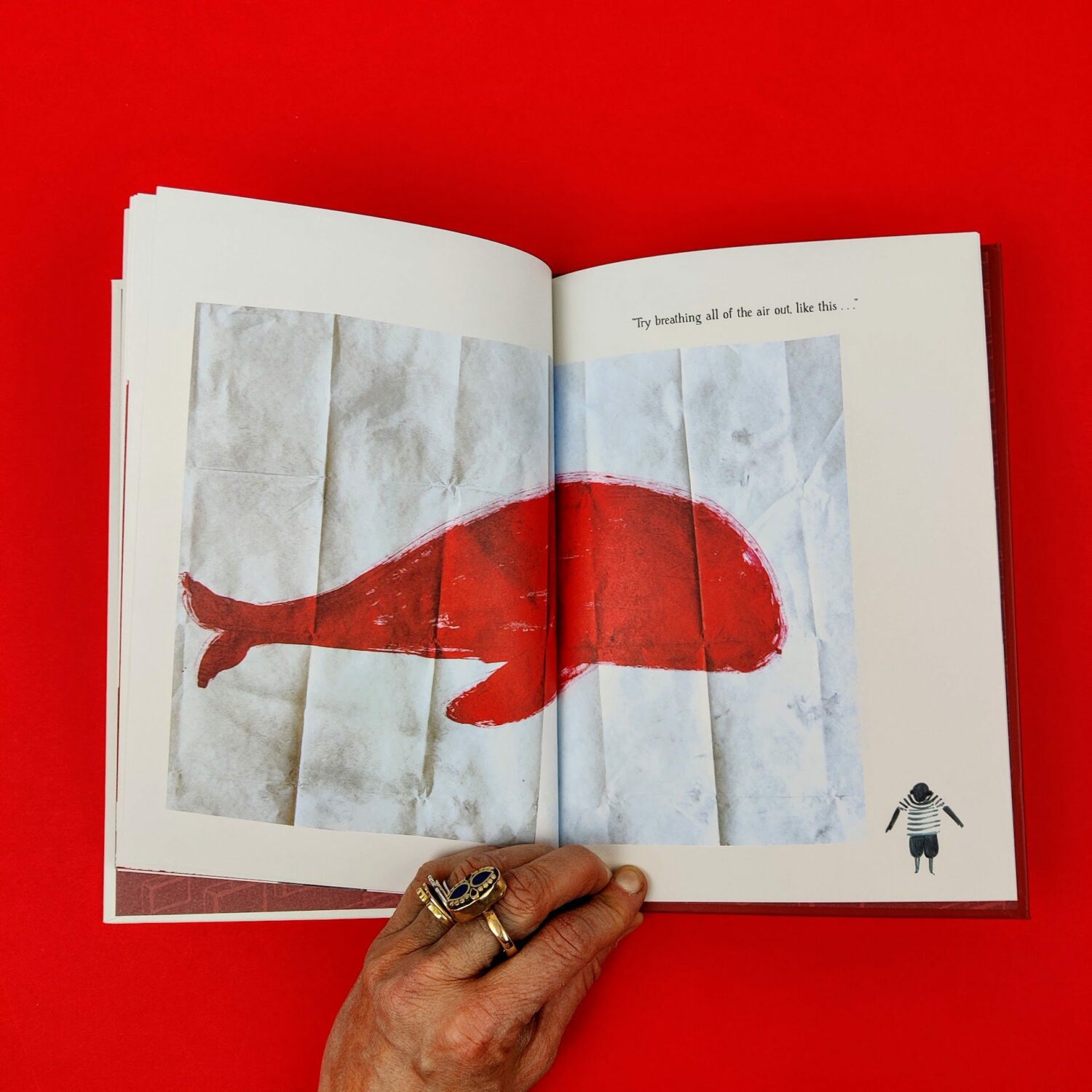 How_to_put_a_whale_in_a_suitcase3