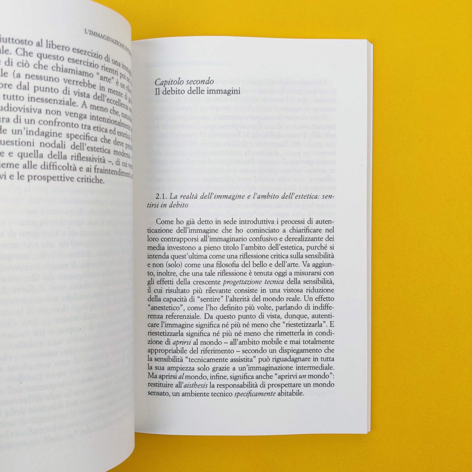 L’immaginazione_intermediale5