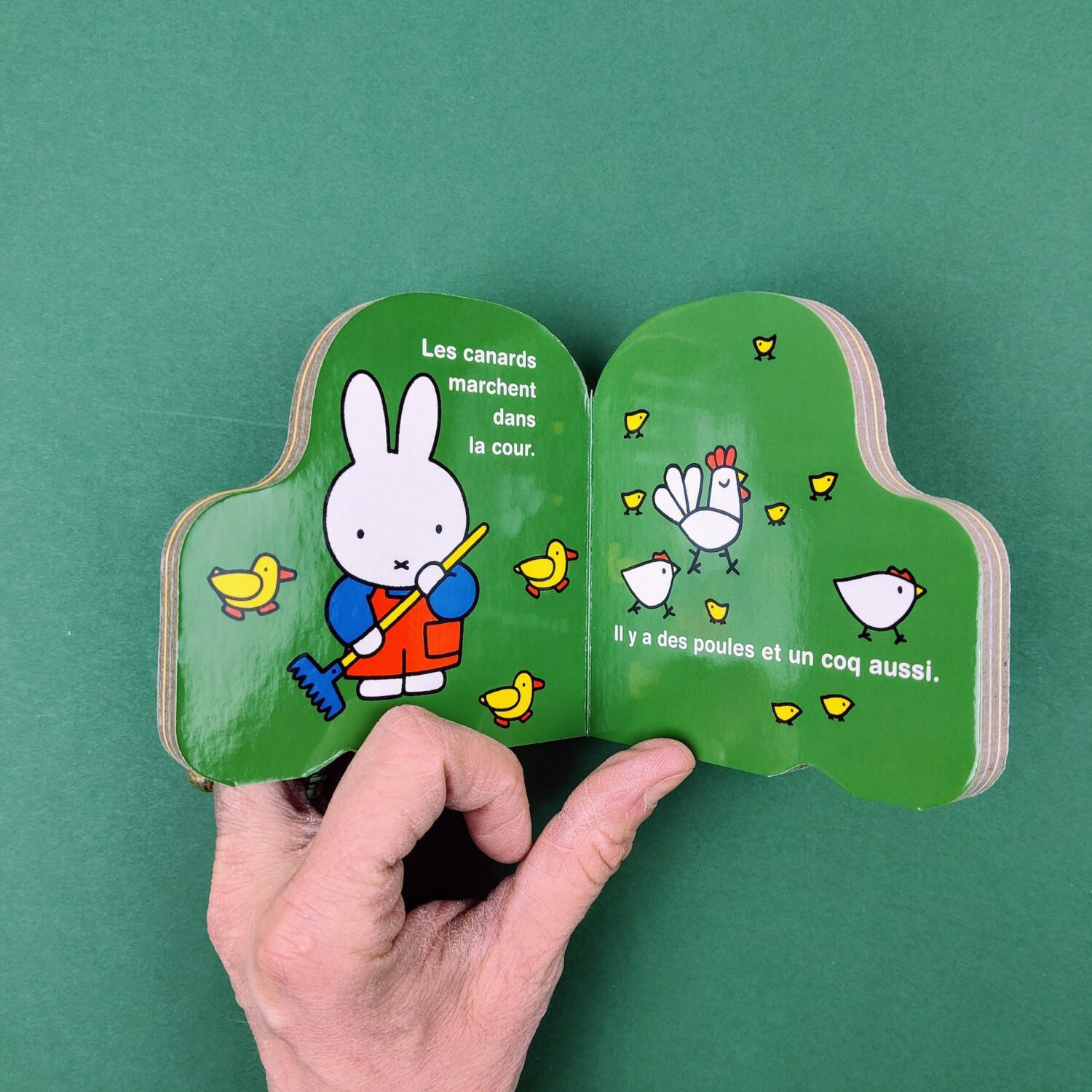 Promene_toi_avec_Miffy5