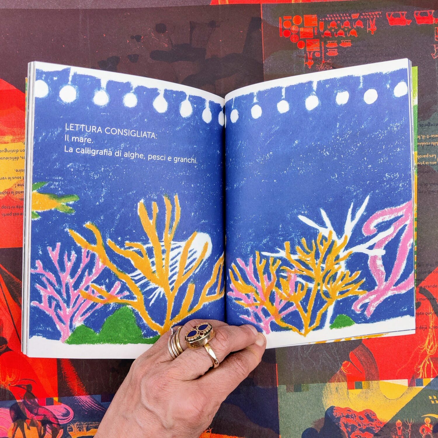 Lo_spazio_tra_i_fili_d’erba6