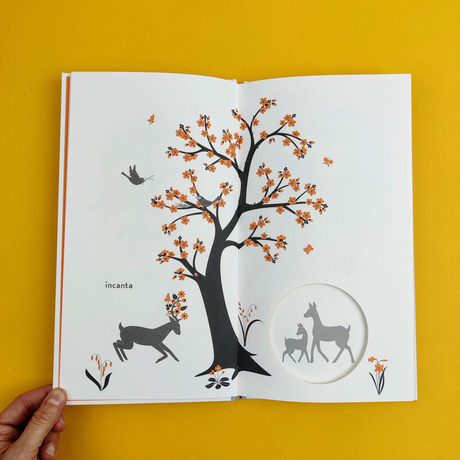 Storia_di_un_albero2