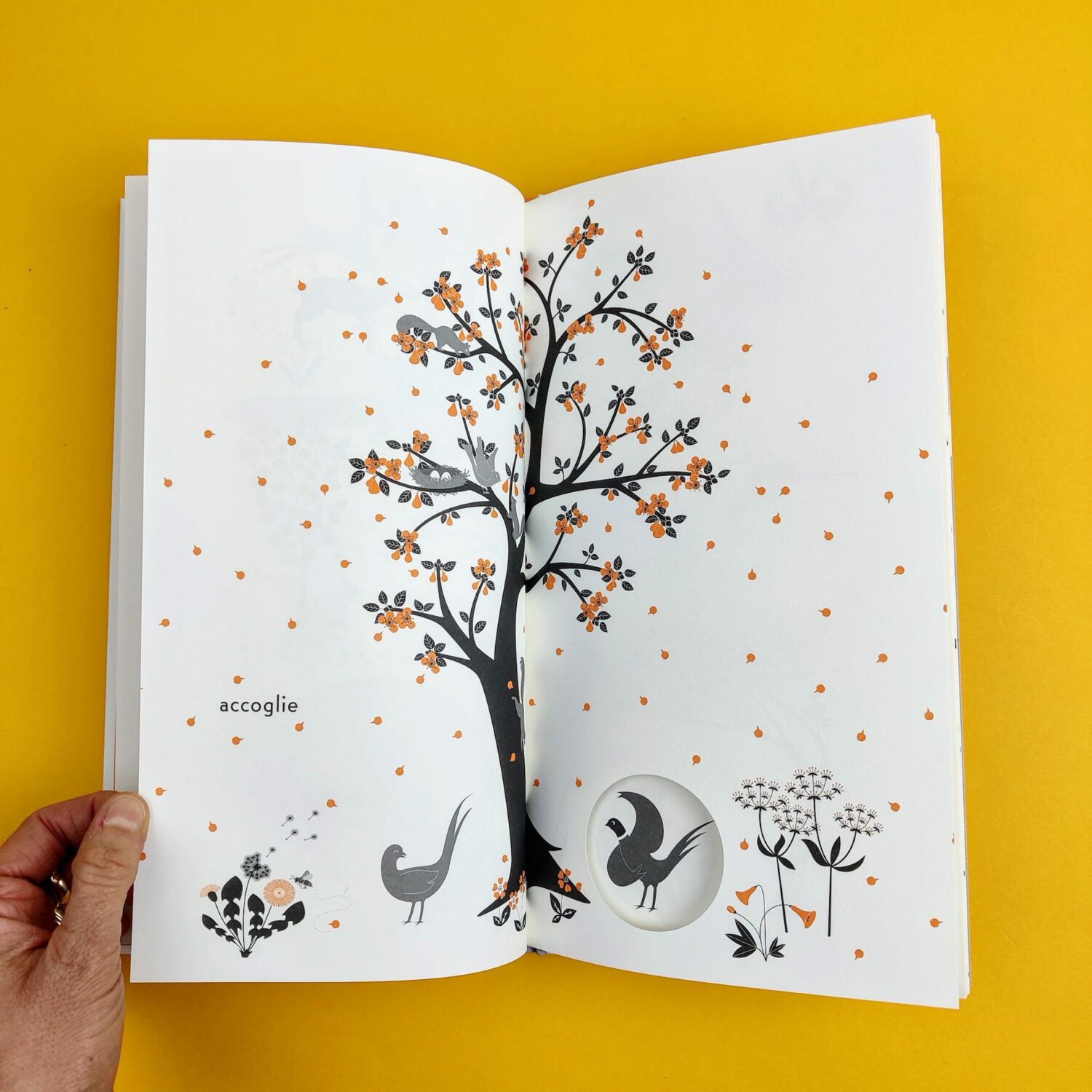 Storia_di_un_albero3
