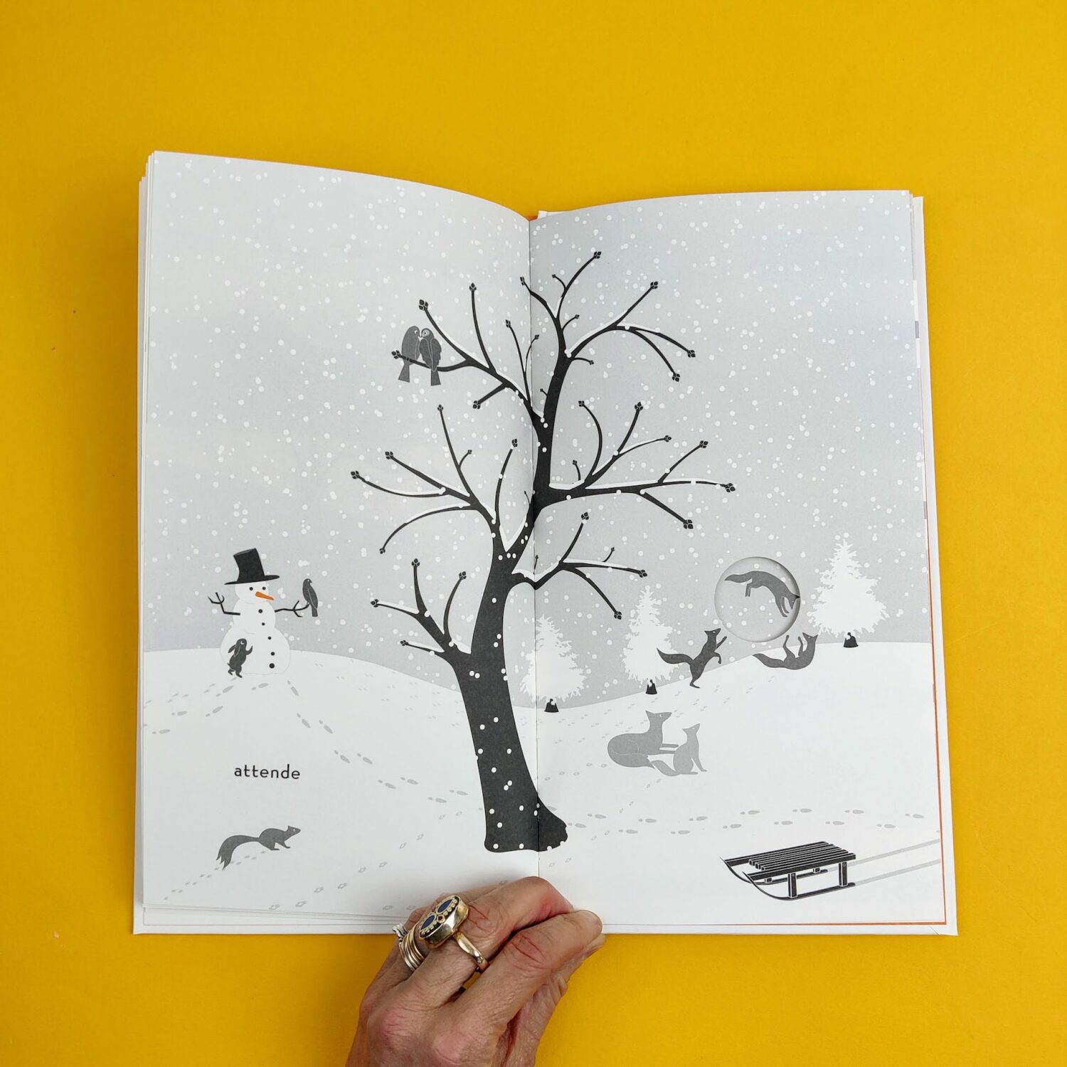 Storia_di_un_albero5