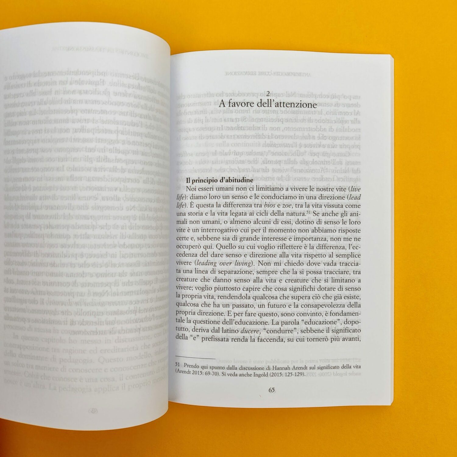 Antropologia_come_educazione4