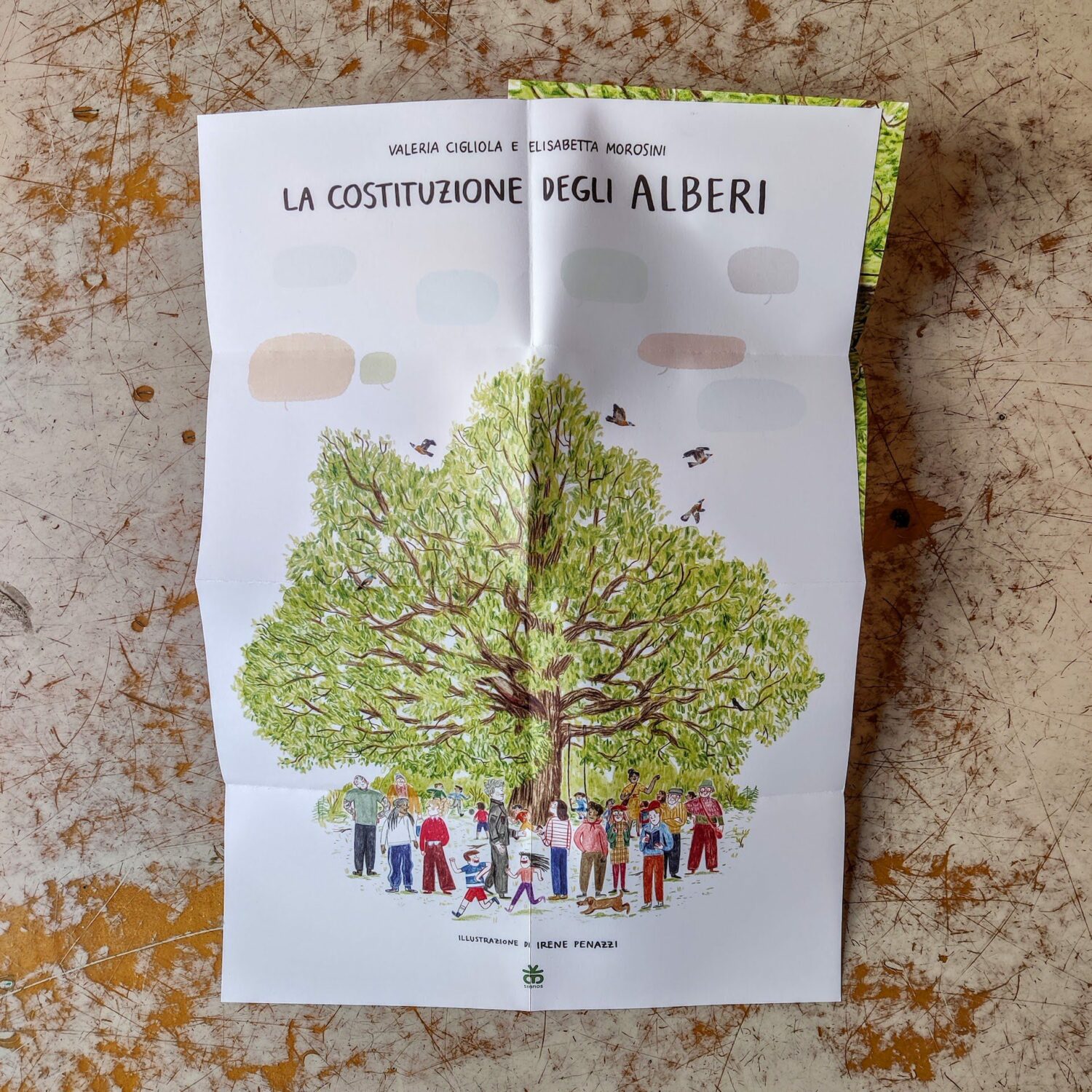 La_costituzione_degli_alberi5