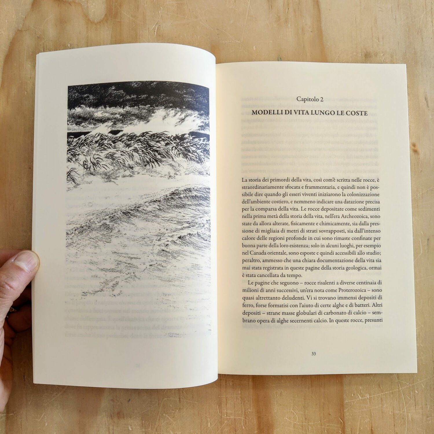 La_vita_che_brilla_sulla_riva_del_mare5