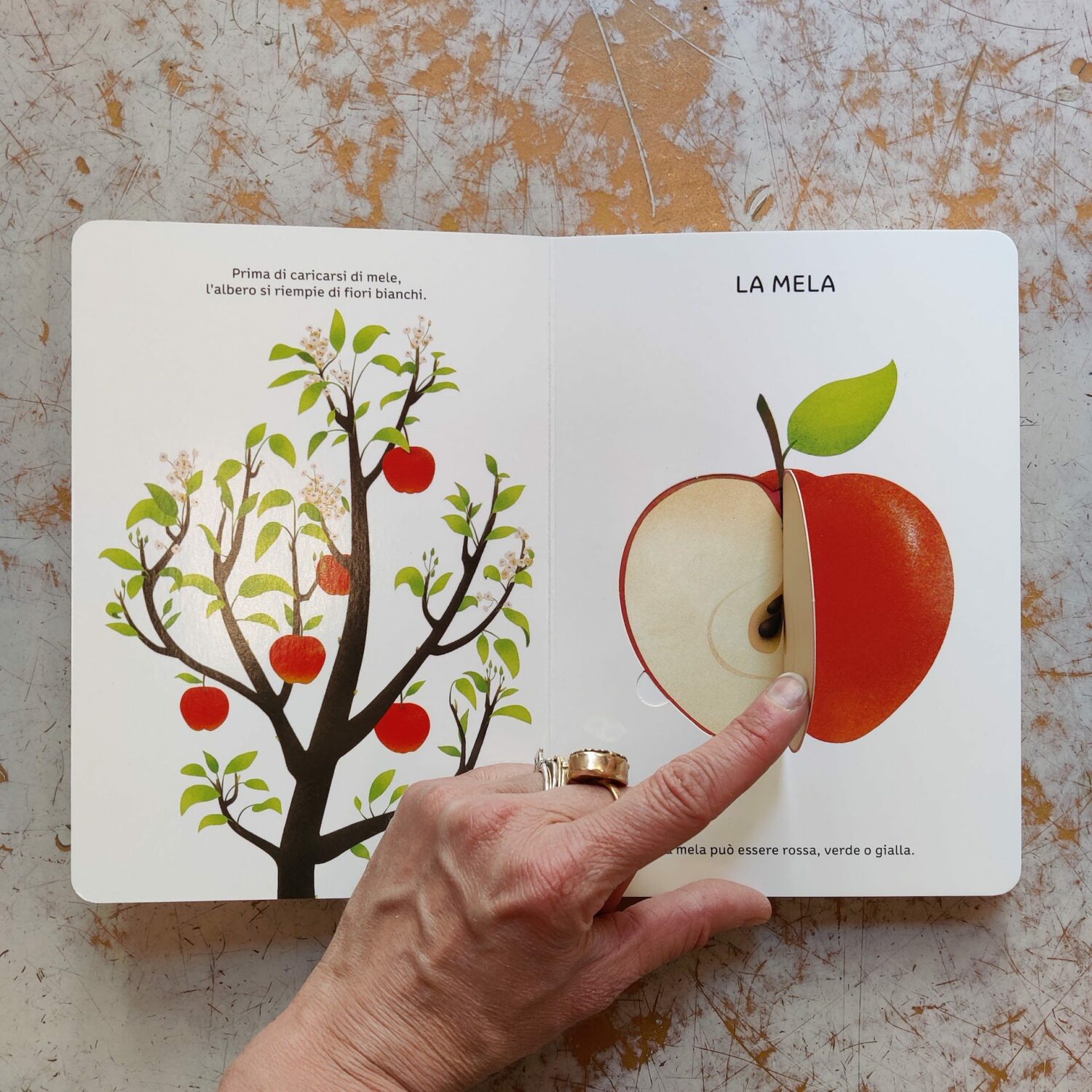 La_frutta2