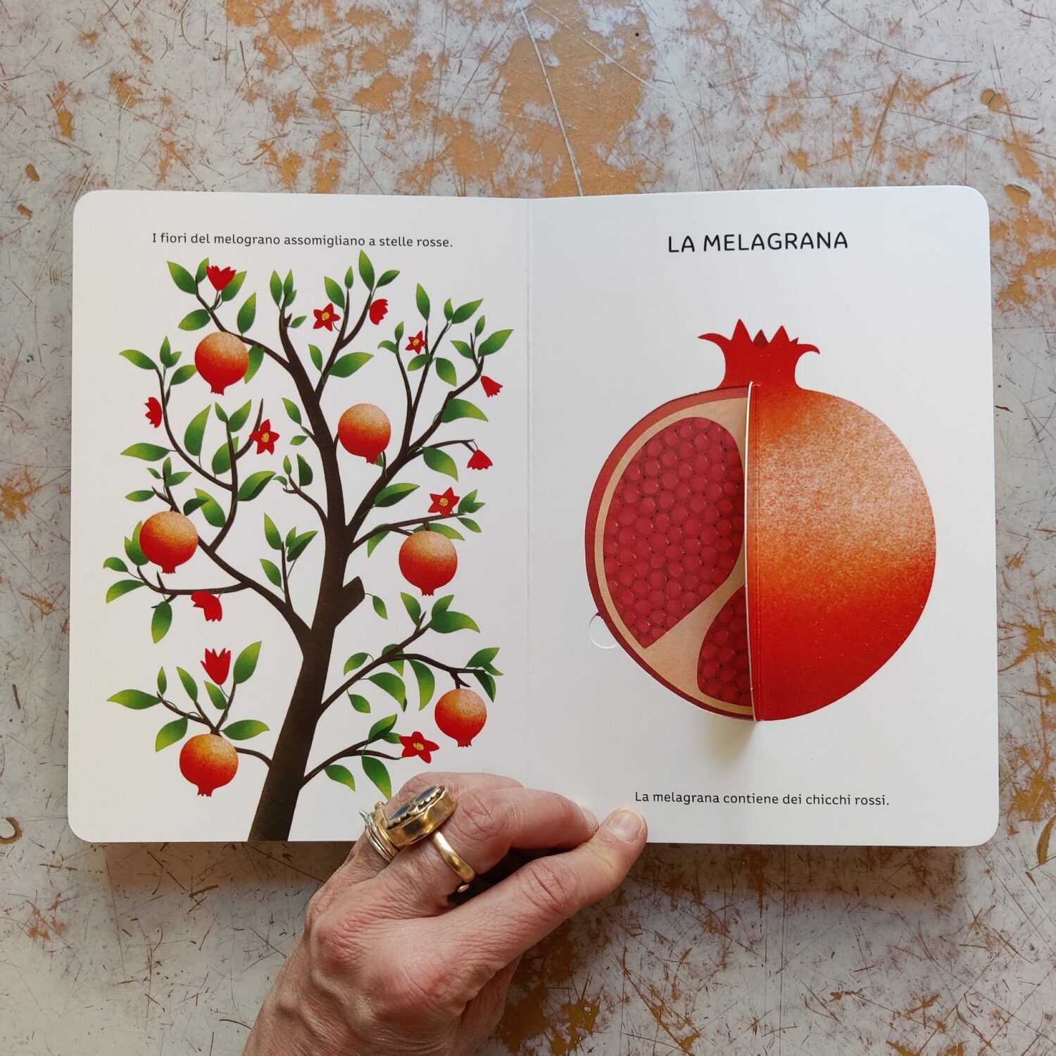 La_frutta3