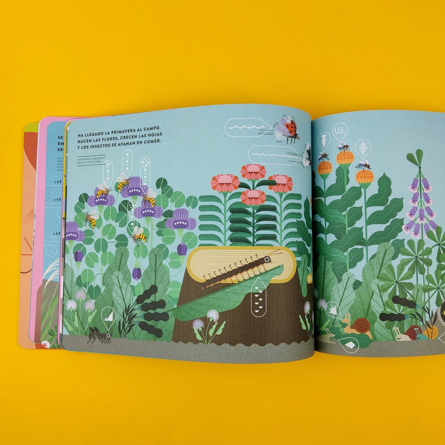 Un_libro_para_crear_y_experimentar_con_los_sonidos4