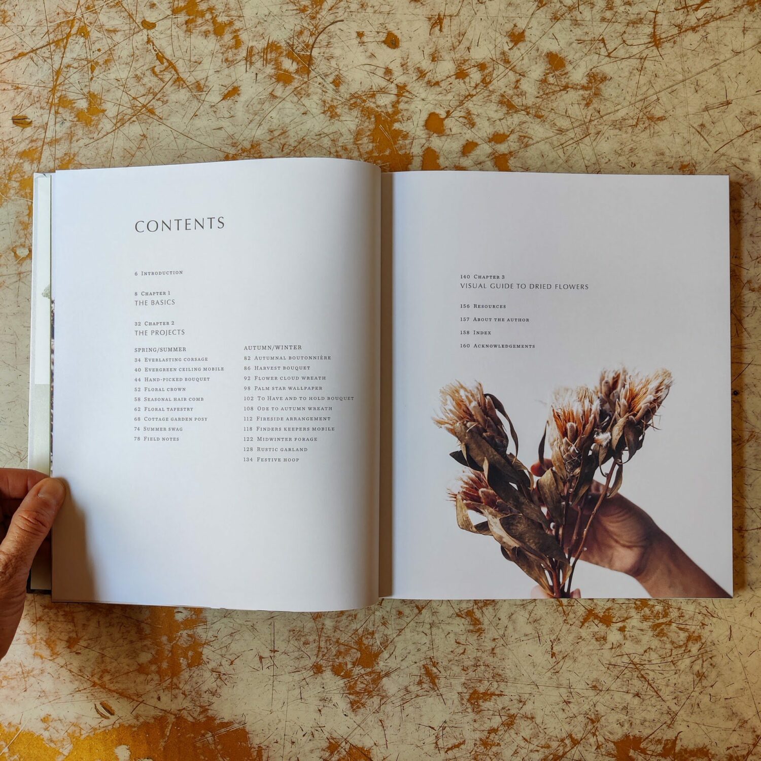 Modern_dried_flowers2