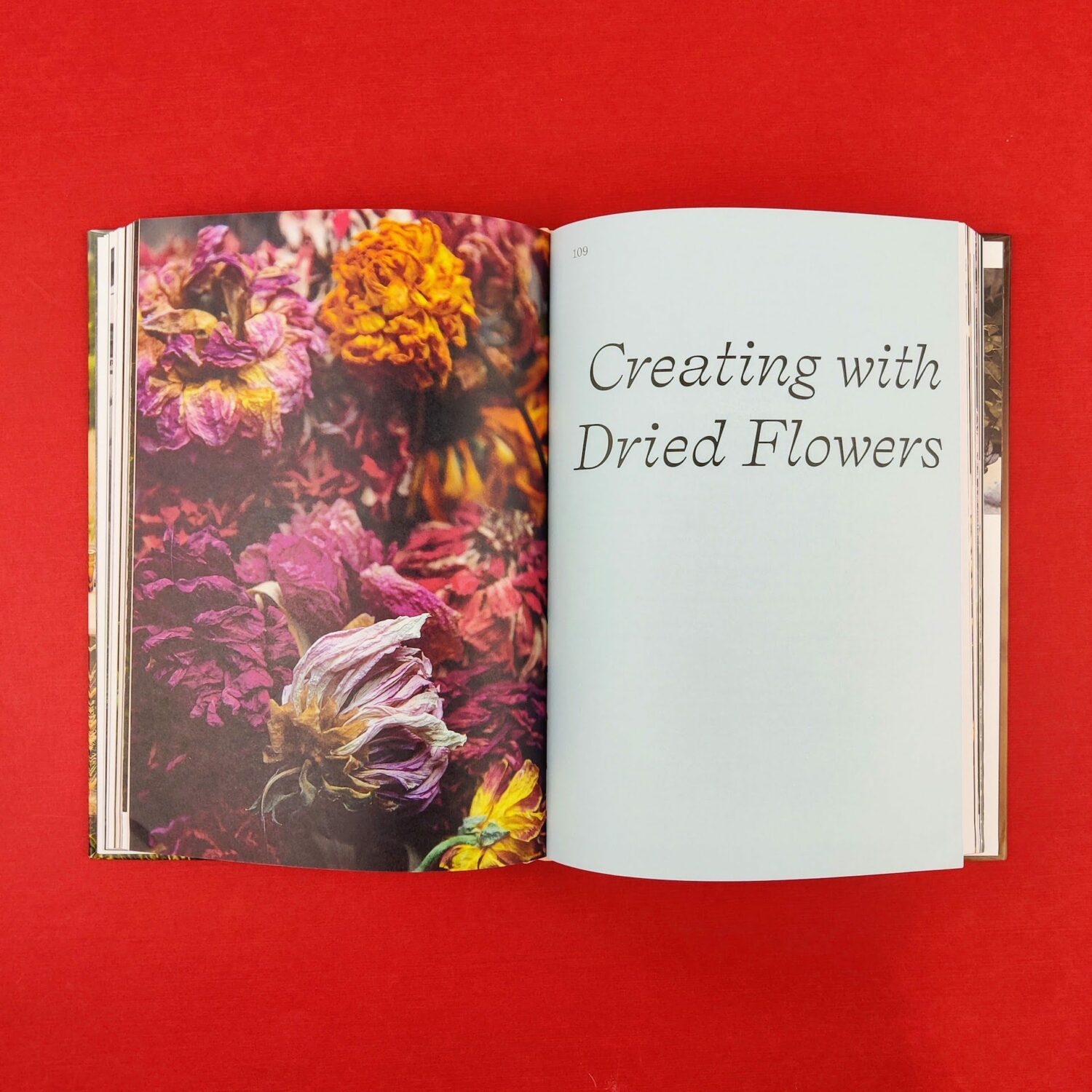 Flower_forever4