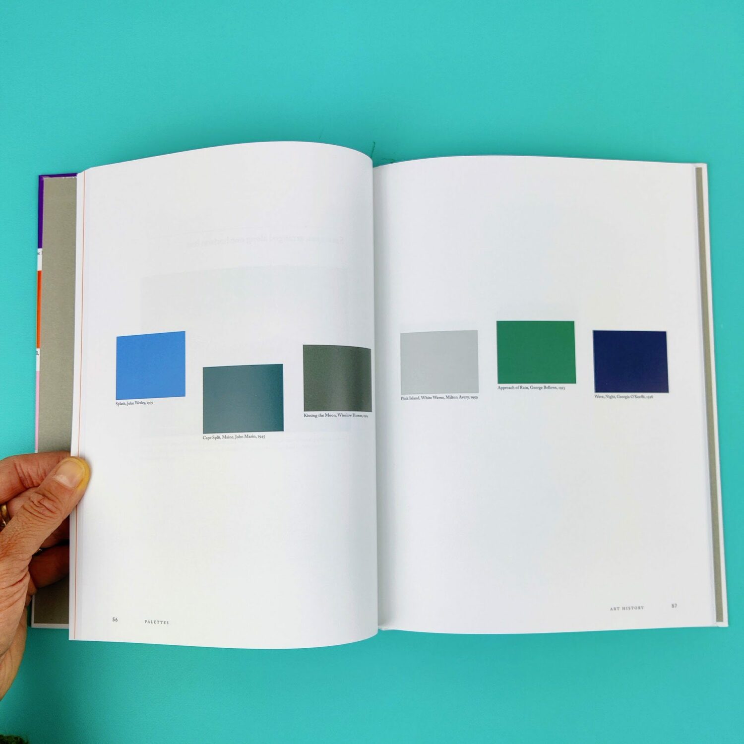 color_scheme4