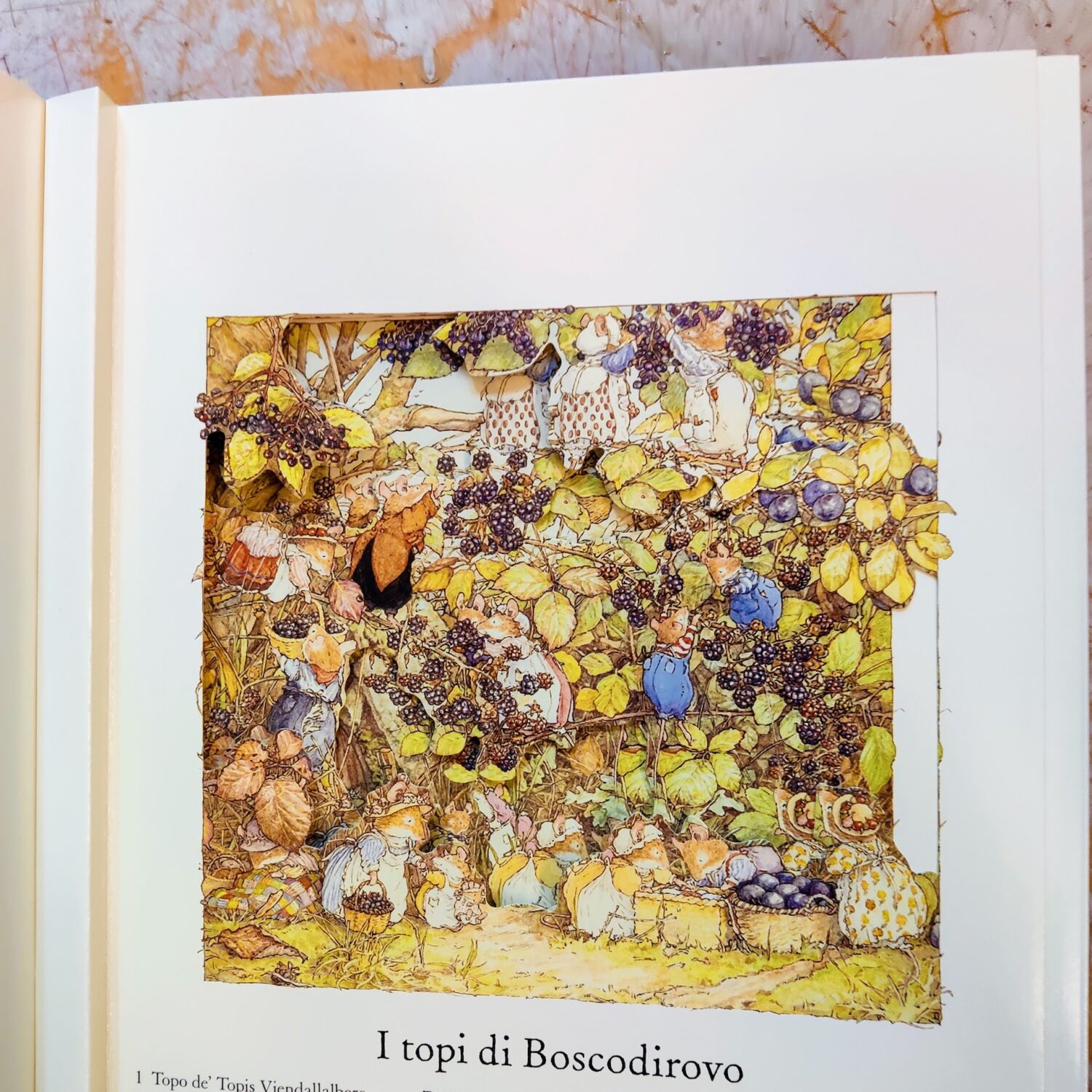 Boscodirovo_popup3