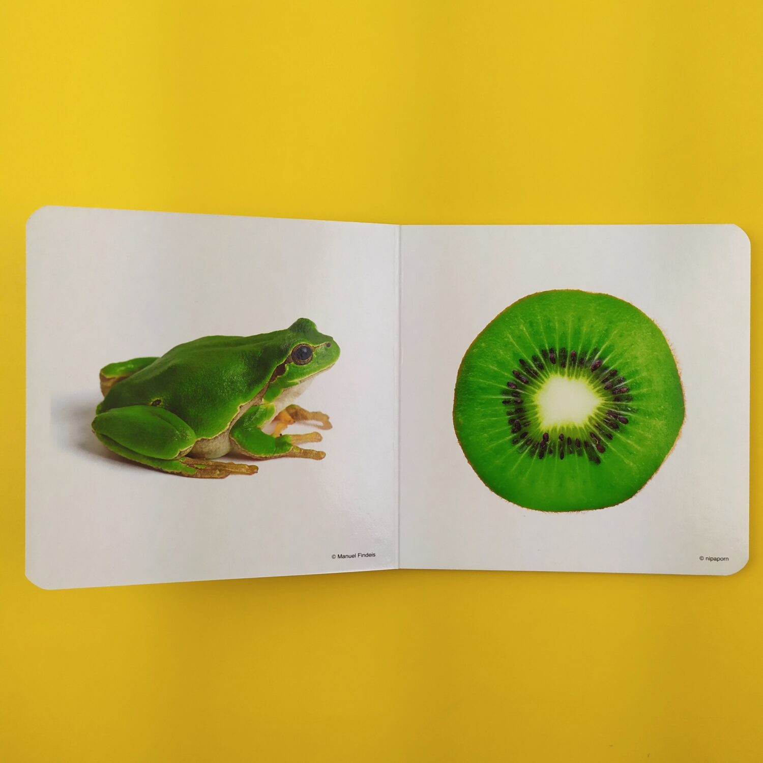 verde2