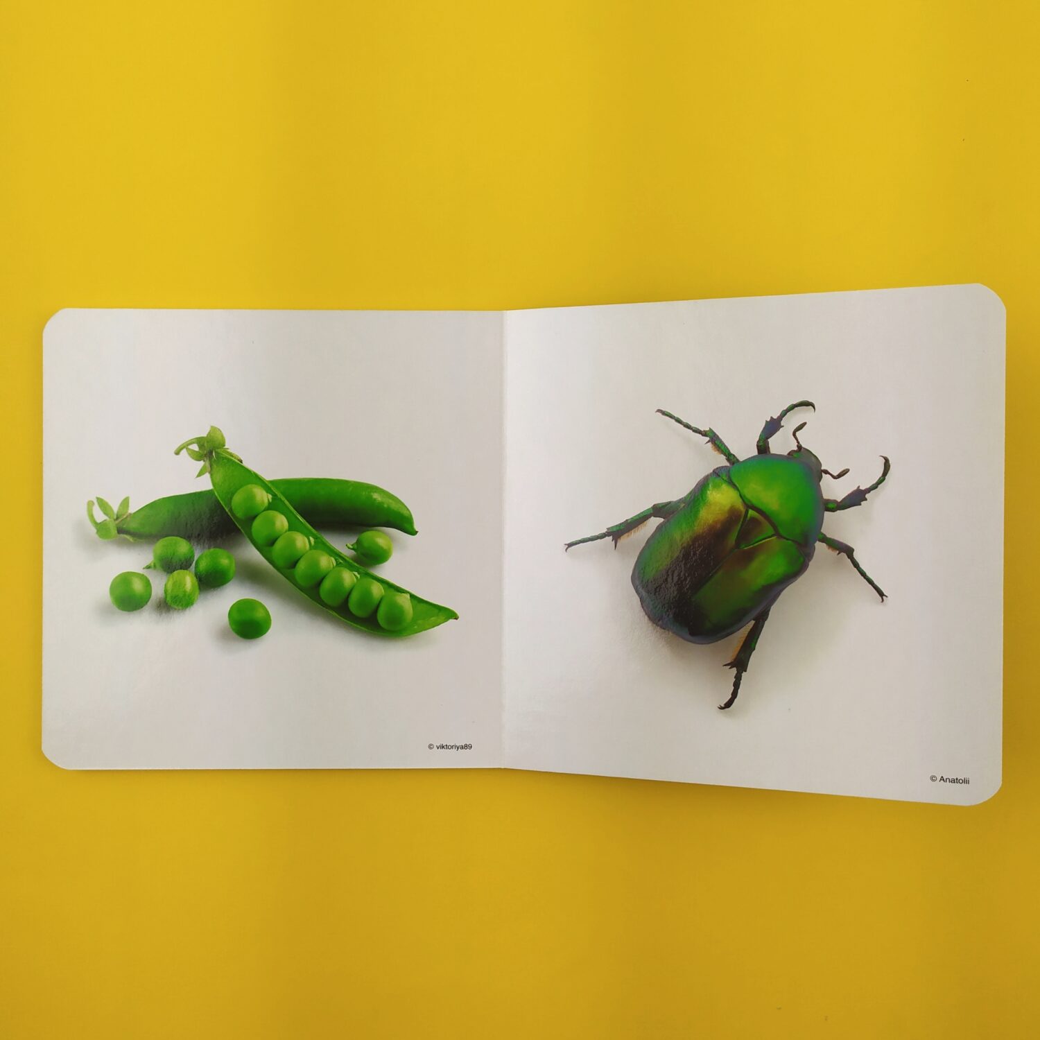 verde3