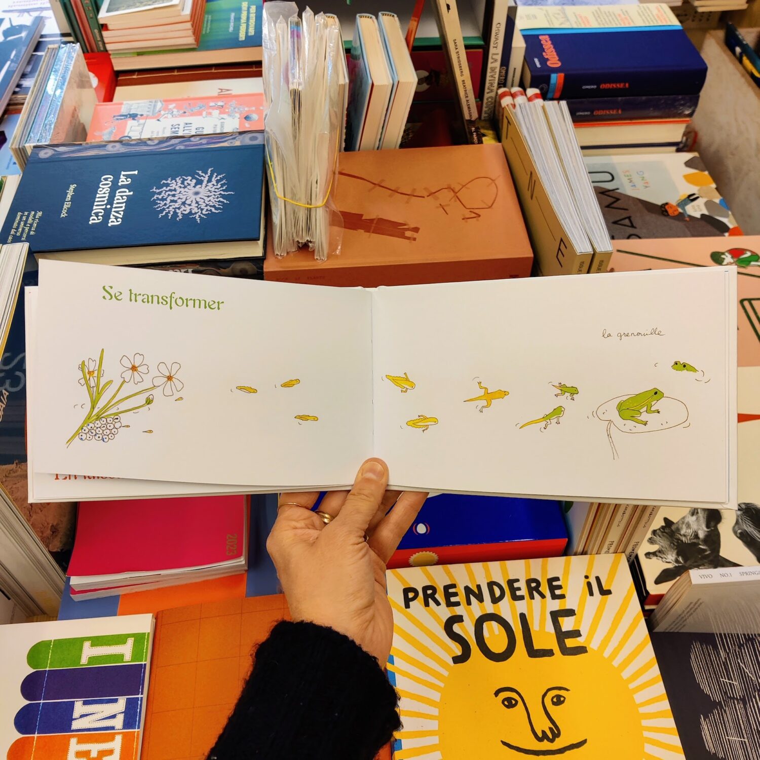 C’est_beau_la_vie4