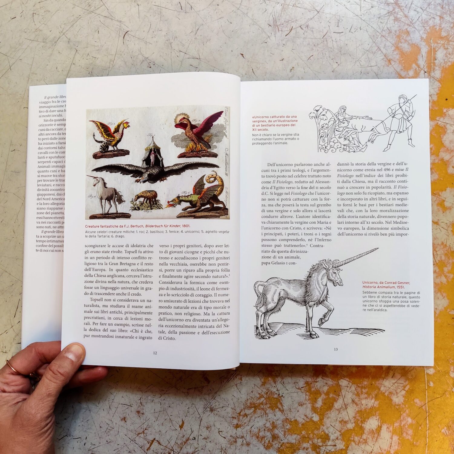 Il_grande_libro_degli_animali_immaginari5