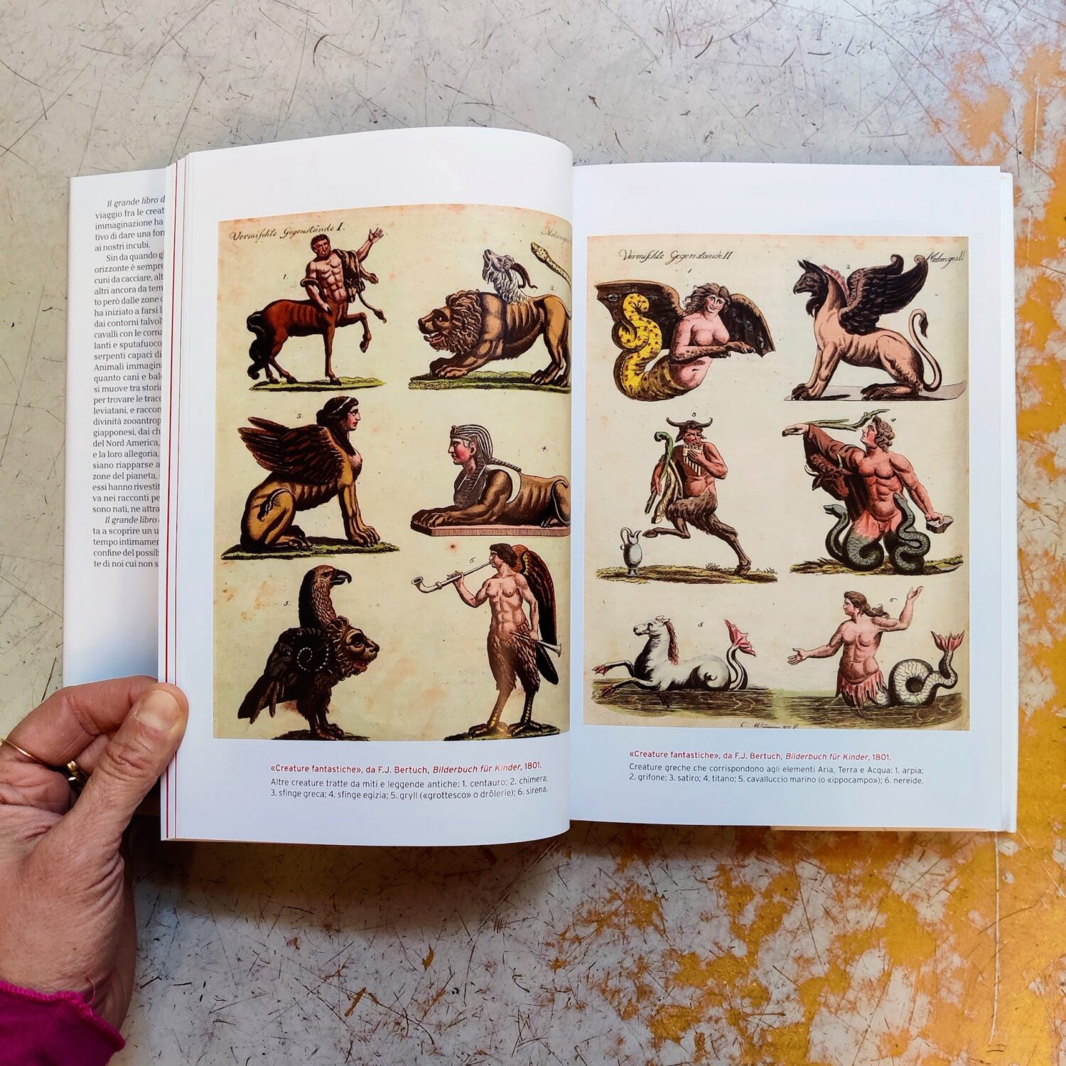 Il_grande_libro_degli_animali_immaginari7